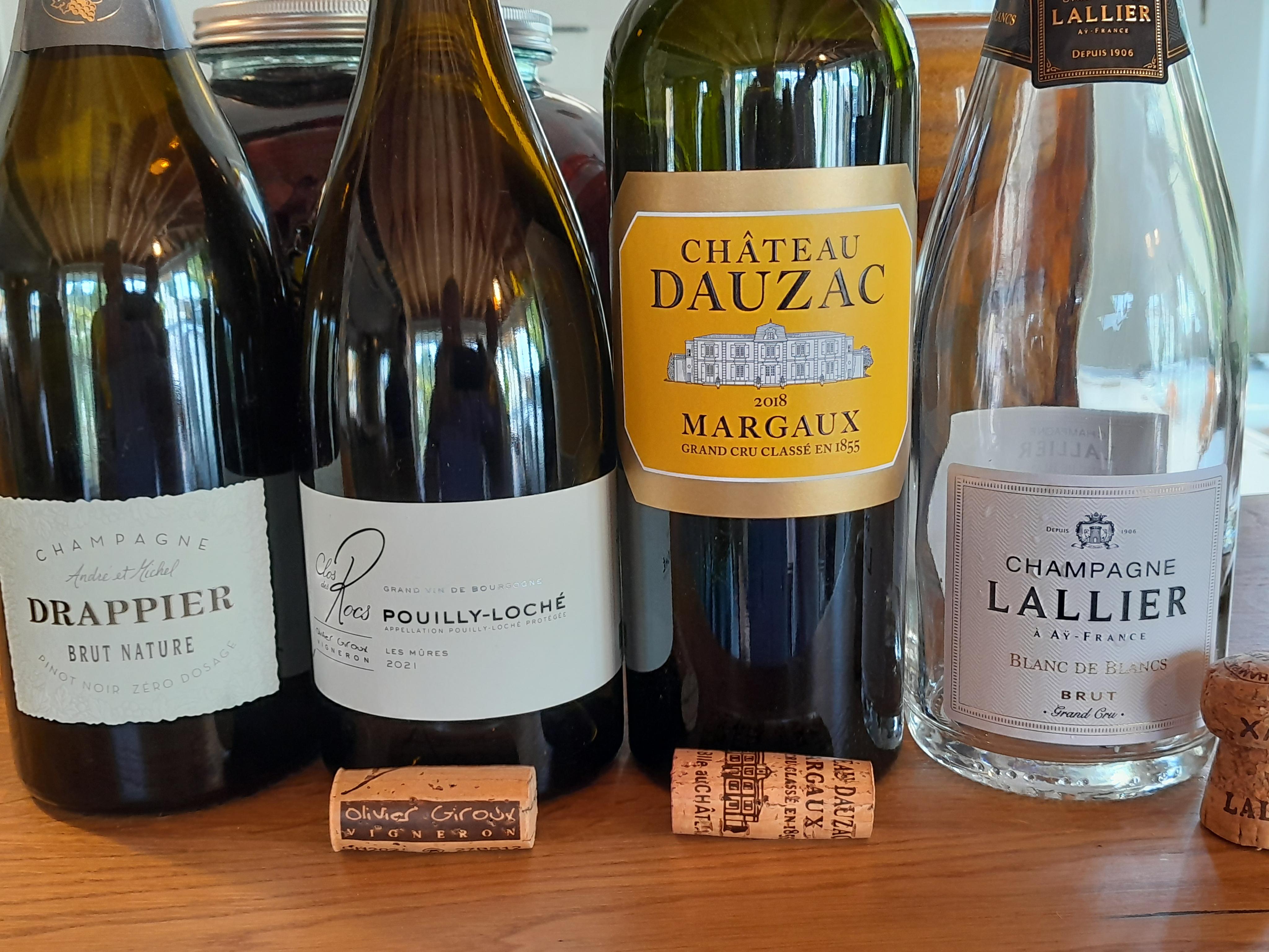 Merlot - Zastávka foto 5