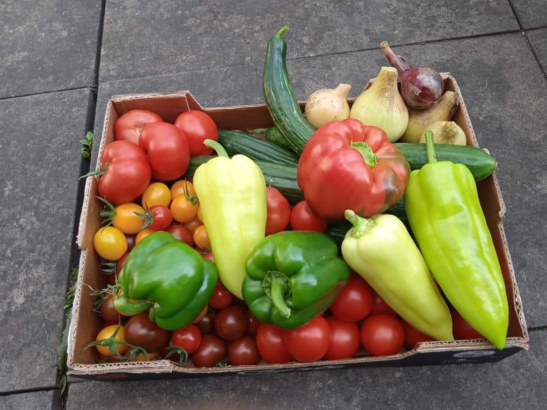 Zahradnictví u Kuby foto 4