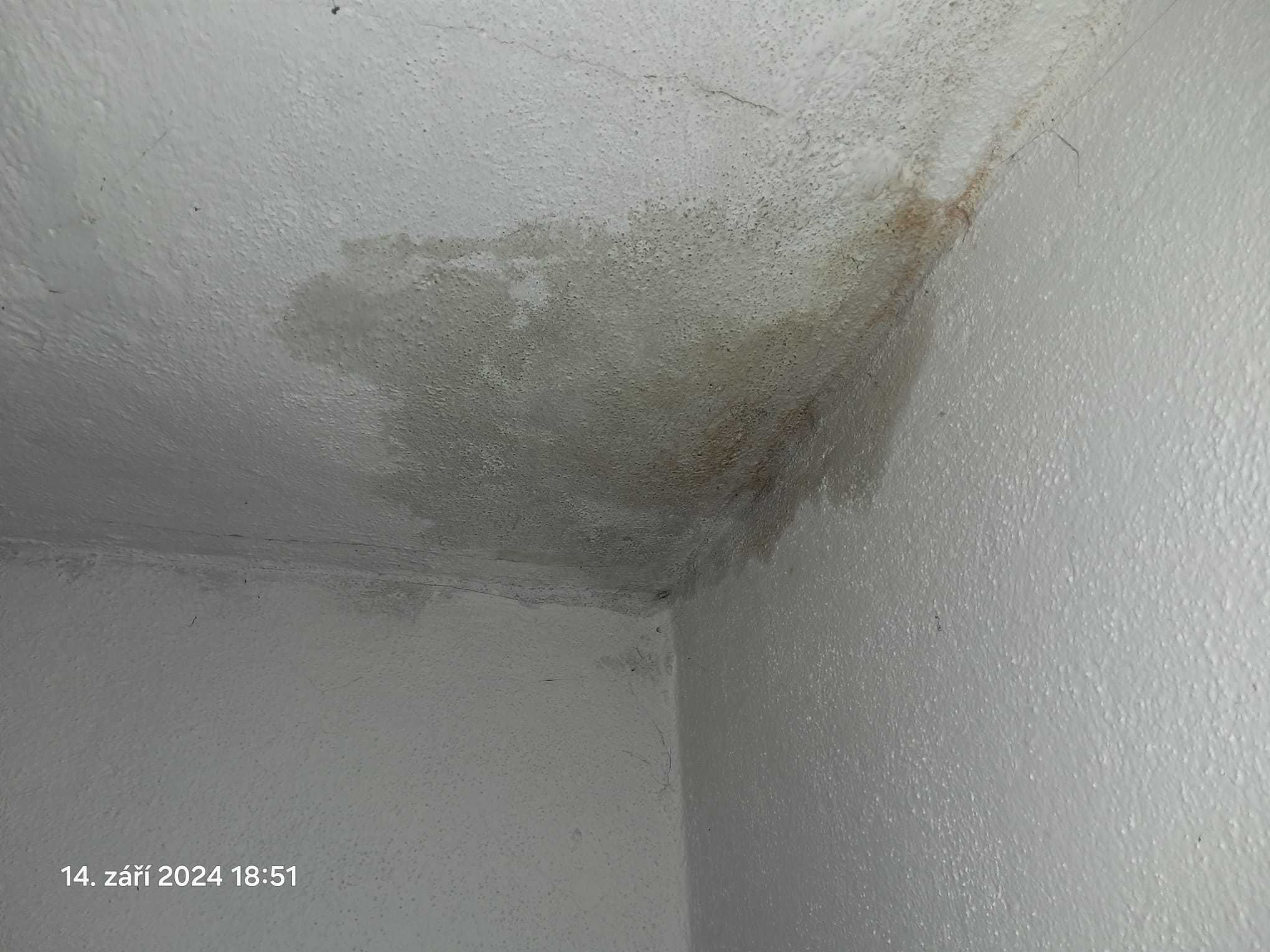 Petr Samec - pokrývačské, tesařské a klempířské práce foto 4