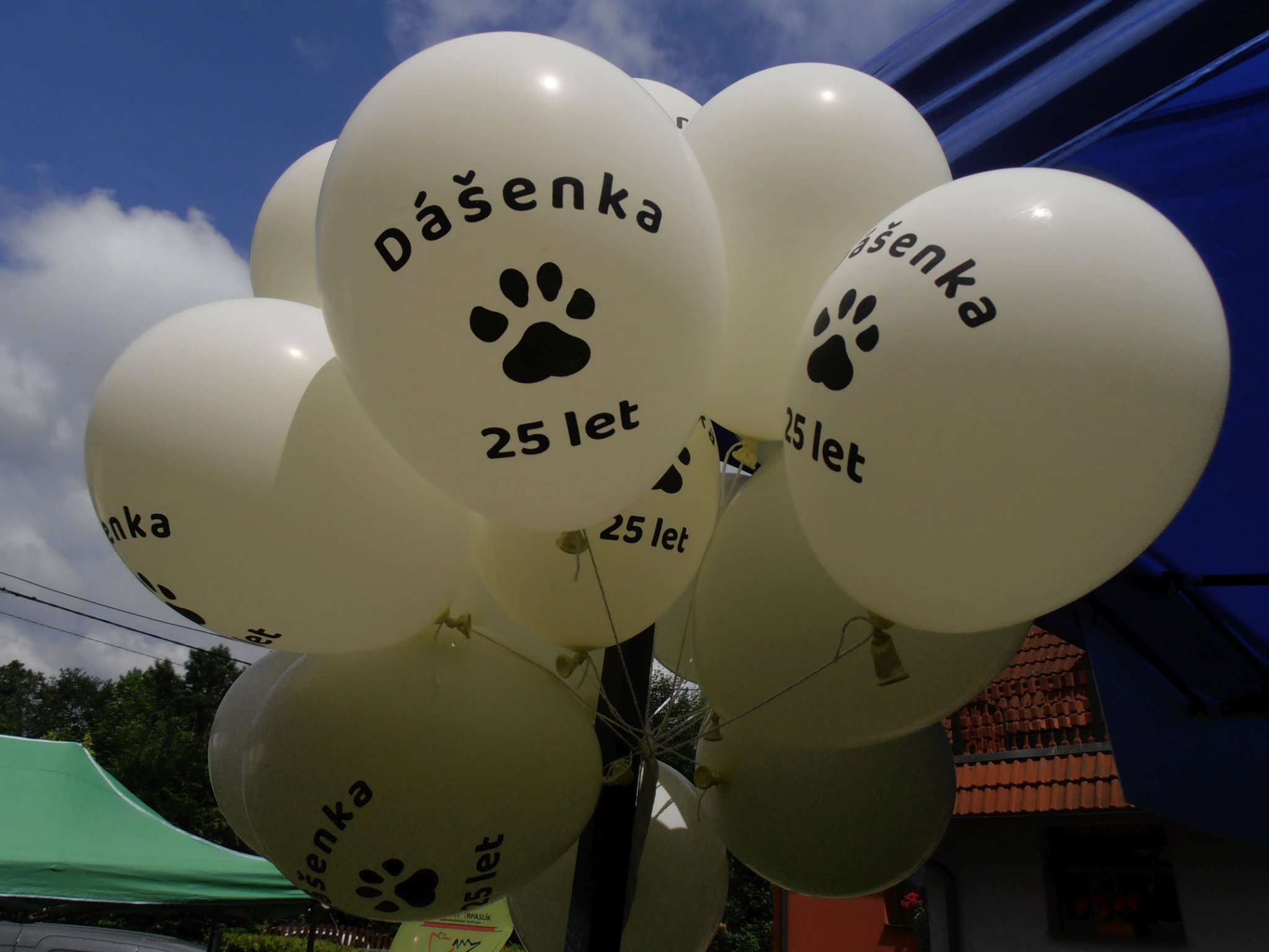 Útulek Dášenka foto 4