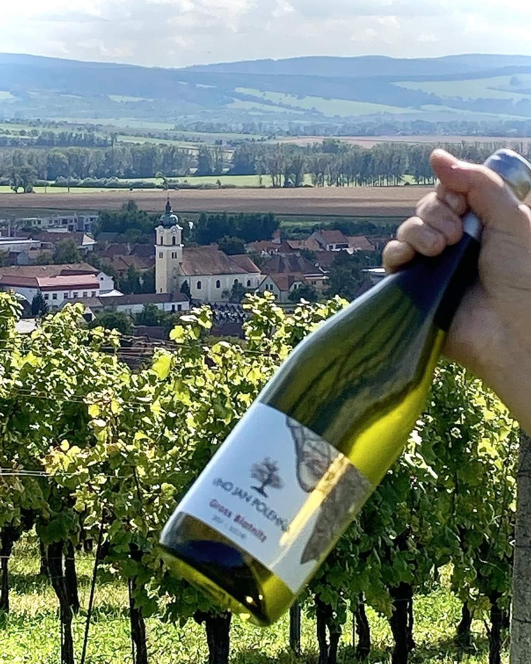 Víno Jan Polehňa foto 4