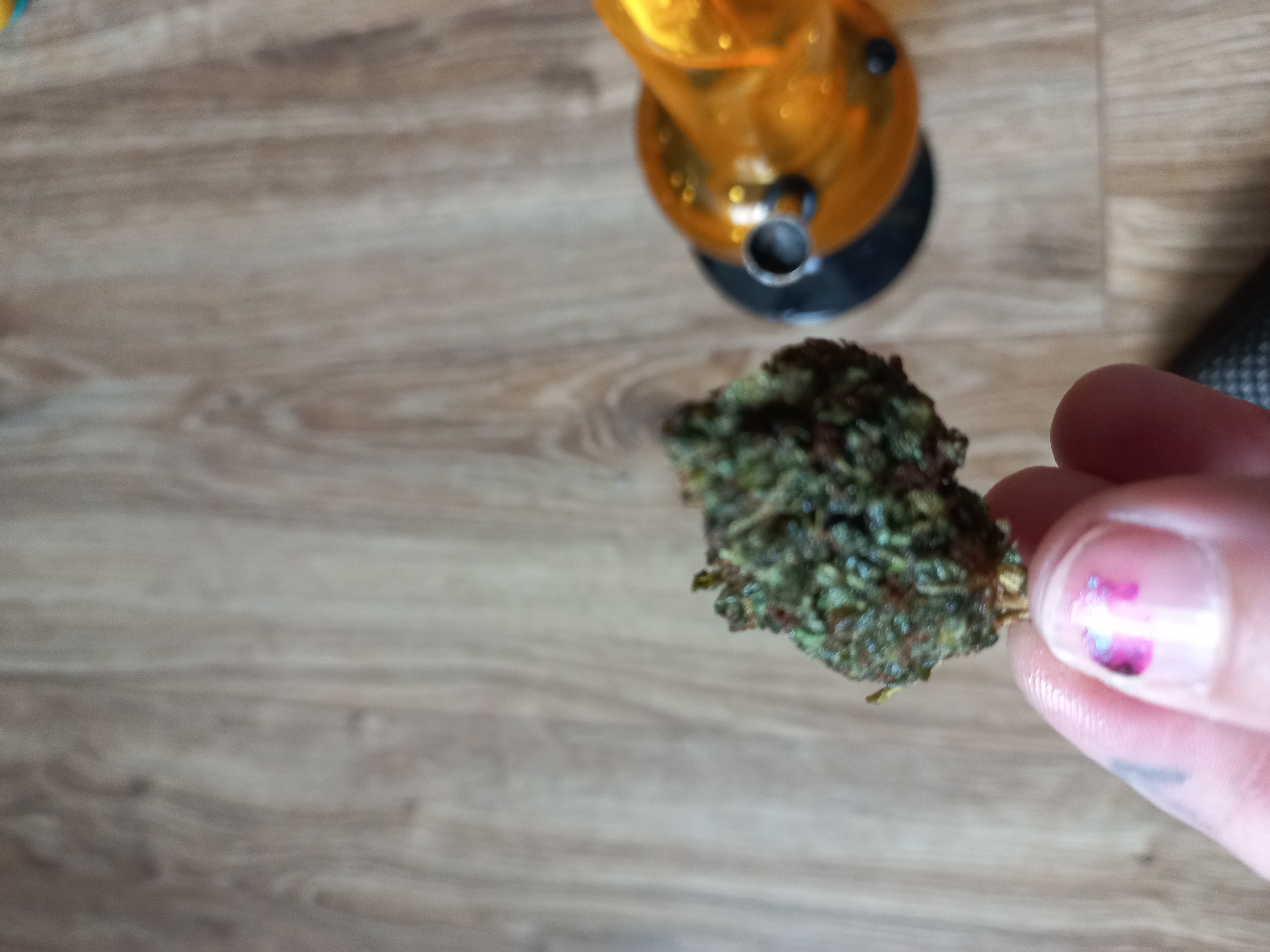 Health Medical foto 3