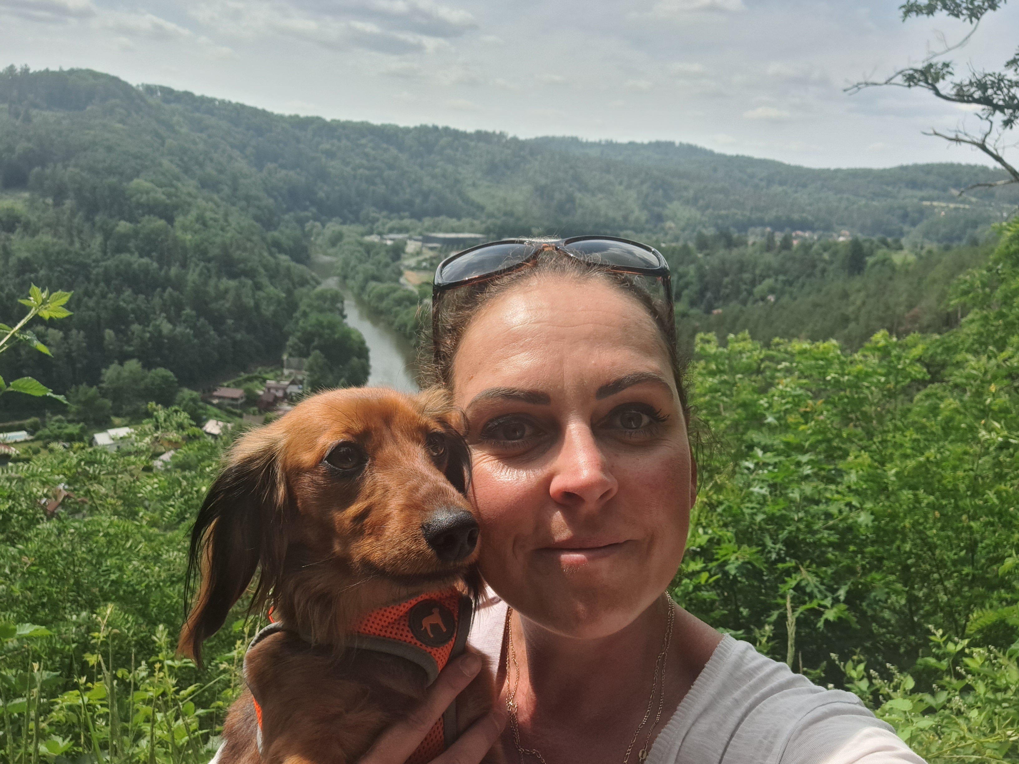 Veterinární ordinace Canife foto 2