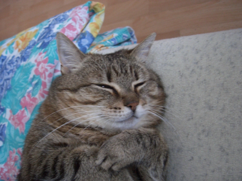 Kantýna Mezi řádky foto 4