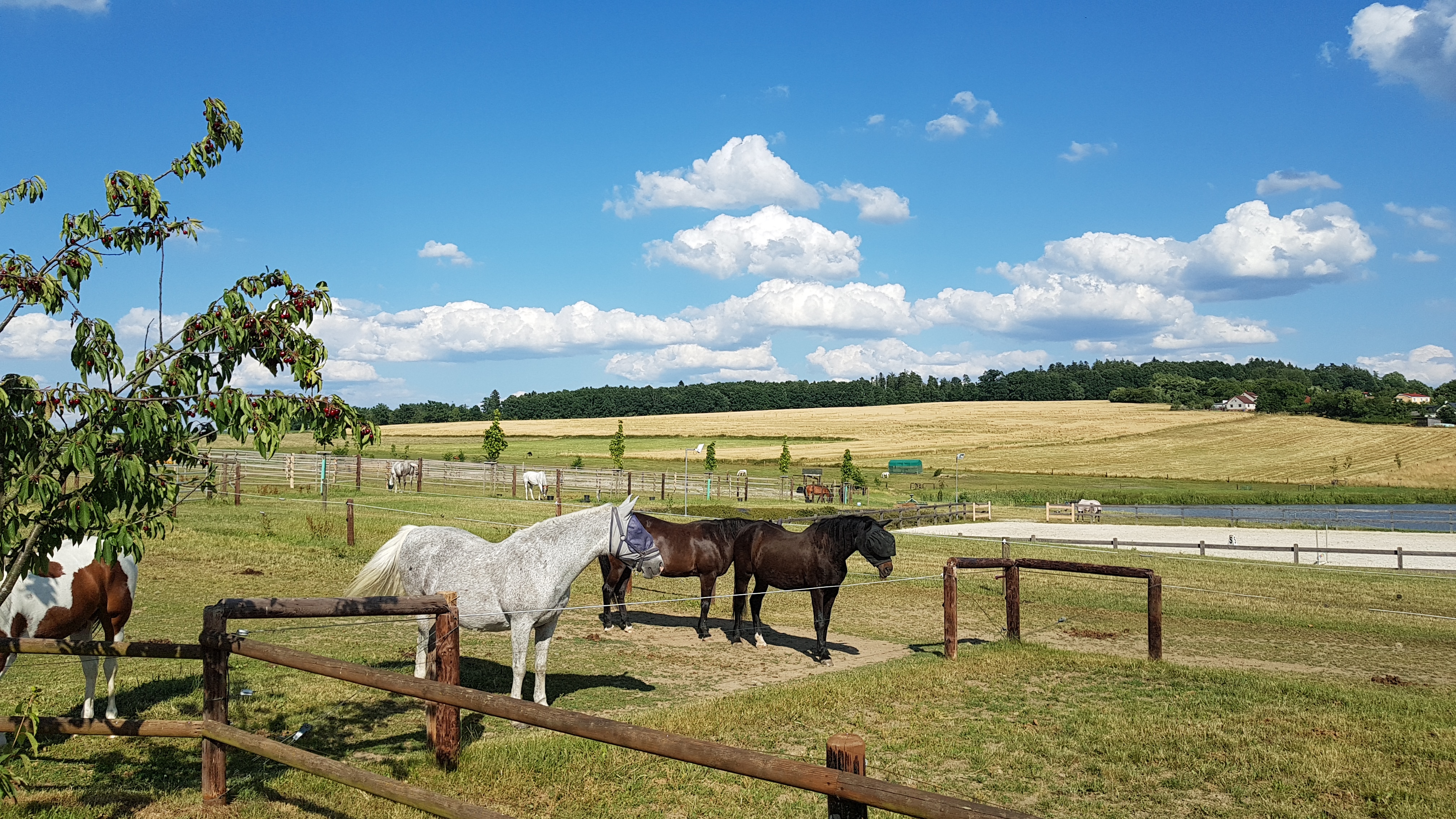 Farma Moulisových foto 2
