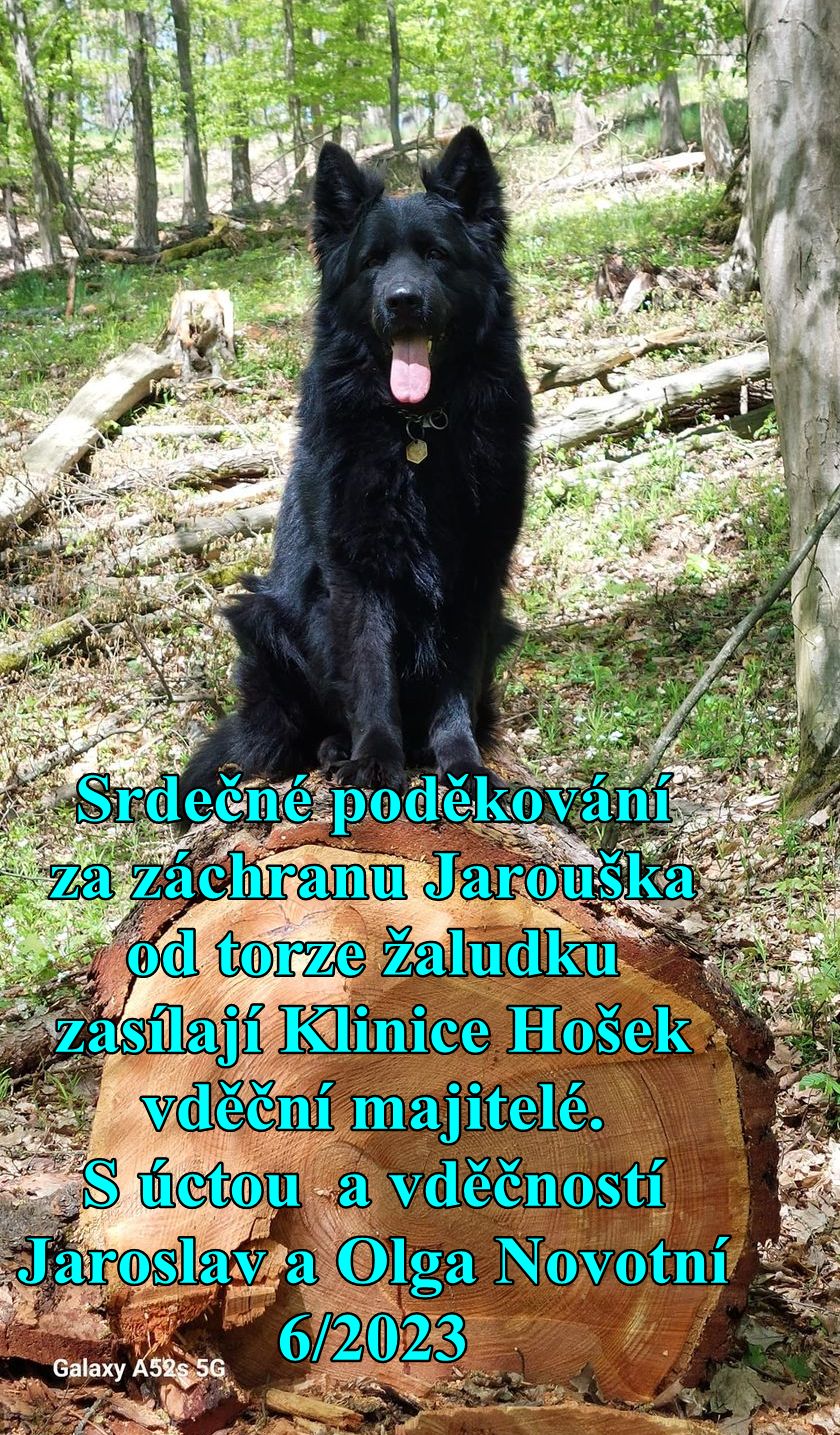 Veterinární klinika Hošek foto 2