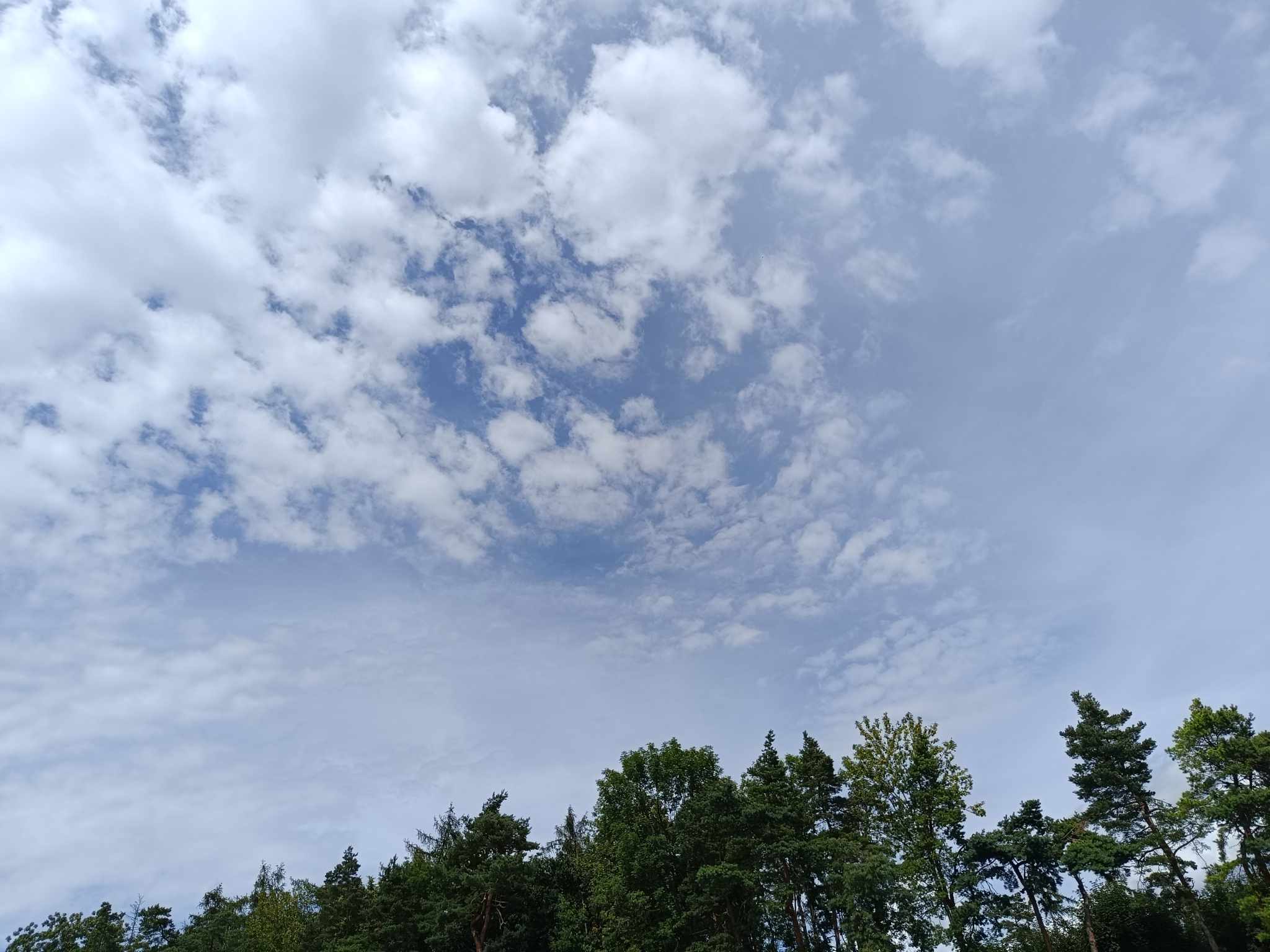 Letní koupaliště Bažantnice foto 6