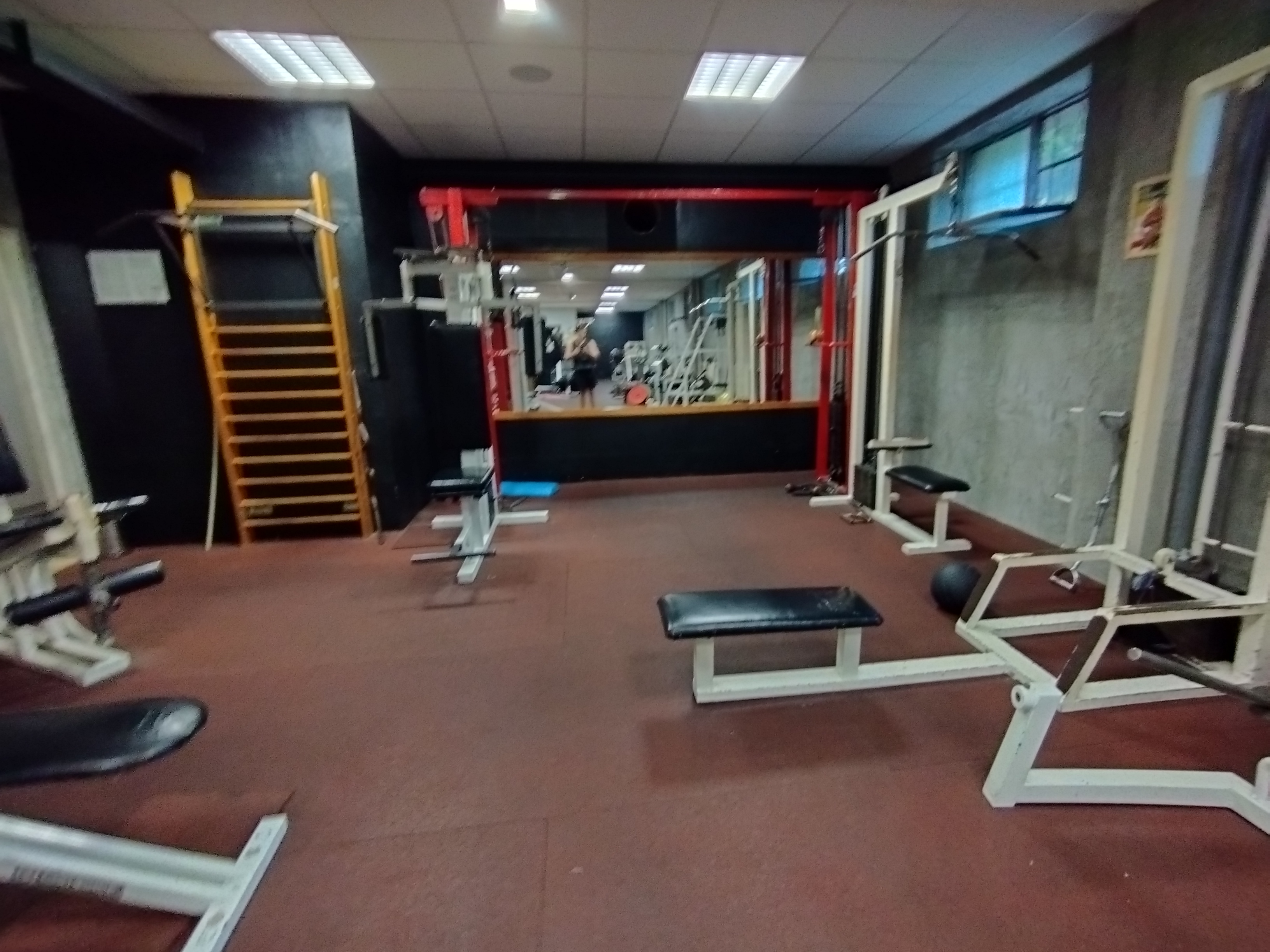 Davidovo Fitko foto 4