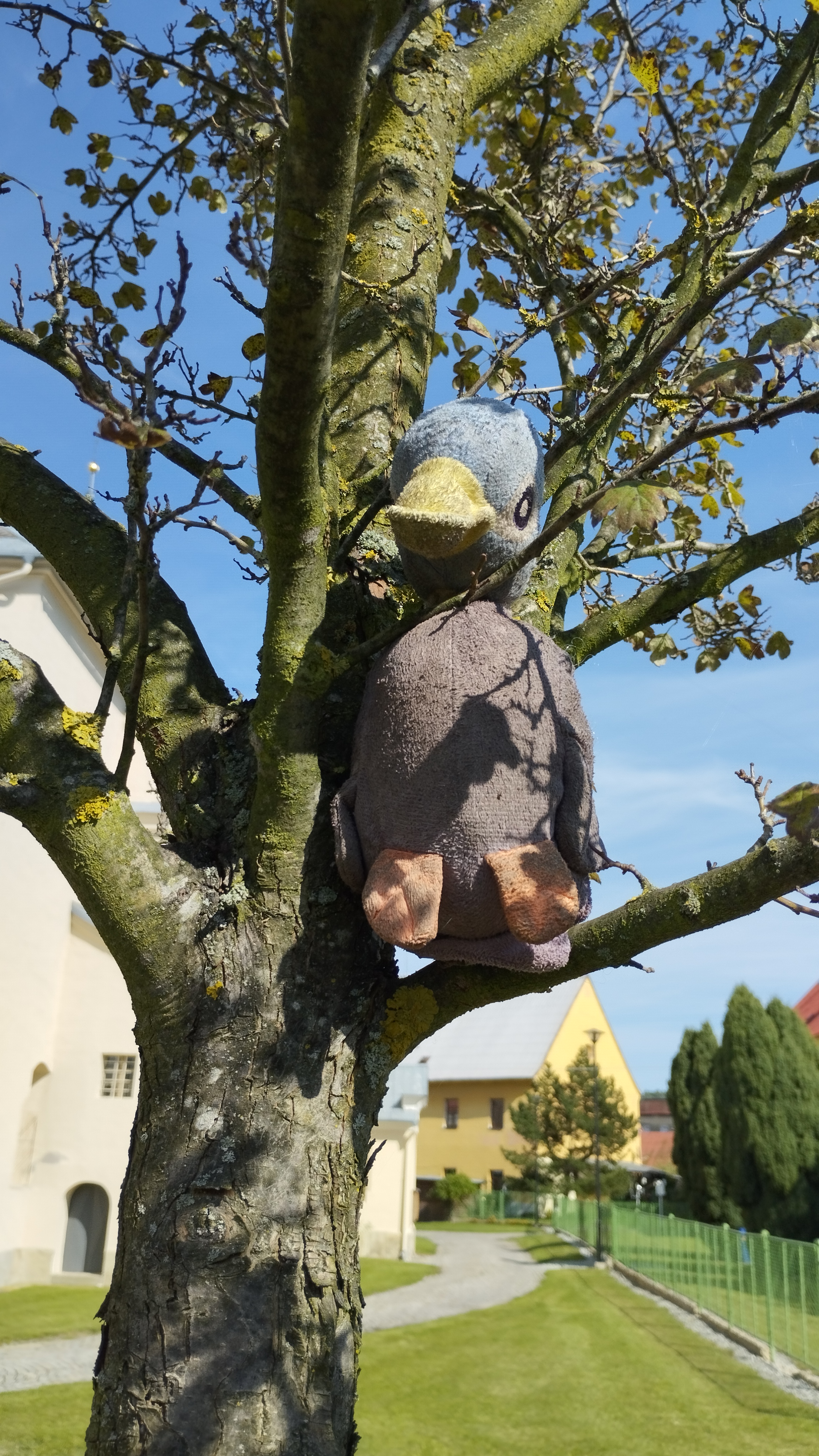 Turistické informační centrum Vidnava foto 3