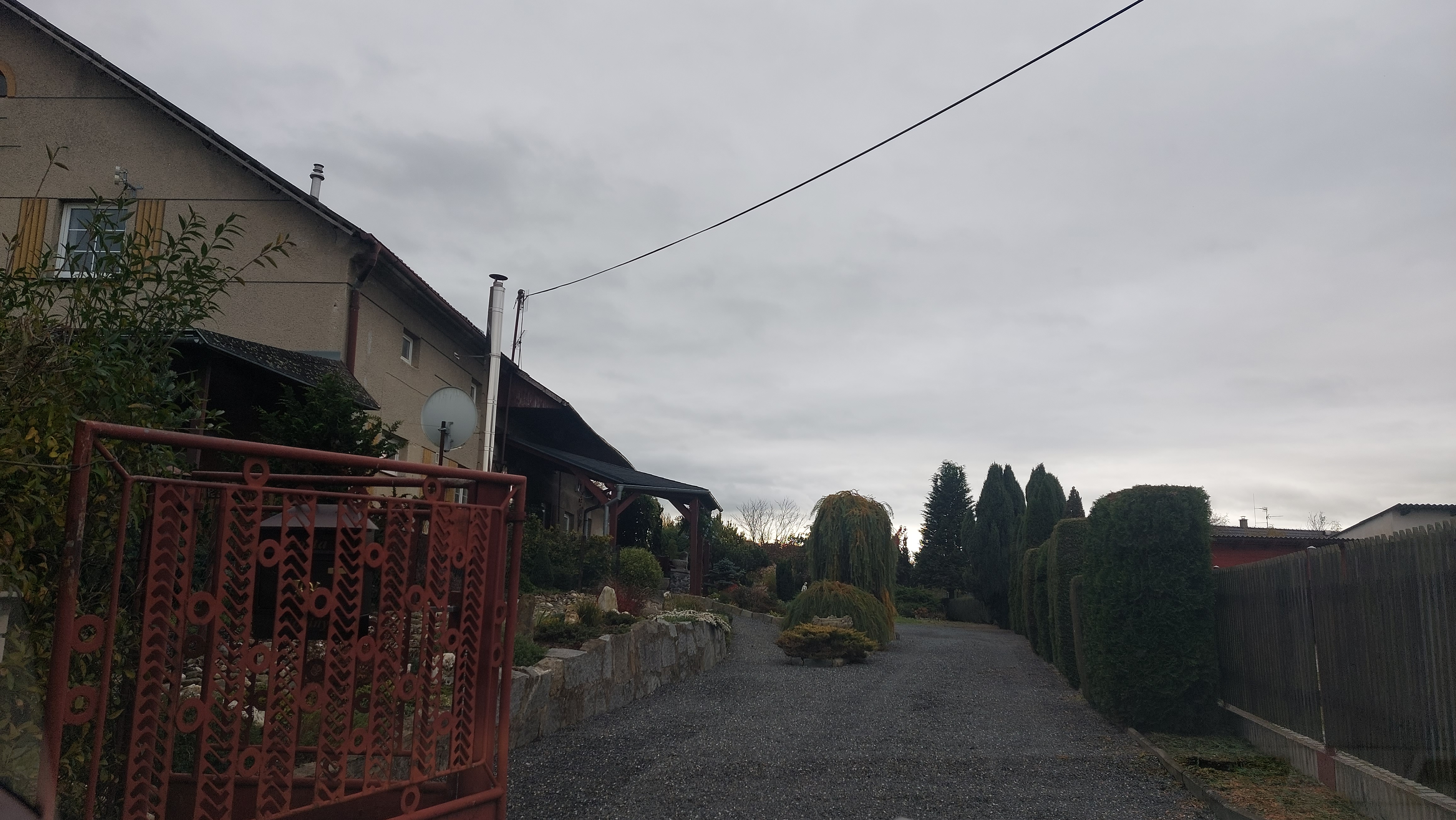 Okrasné zahradnictví Benjamina foto 2