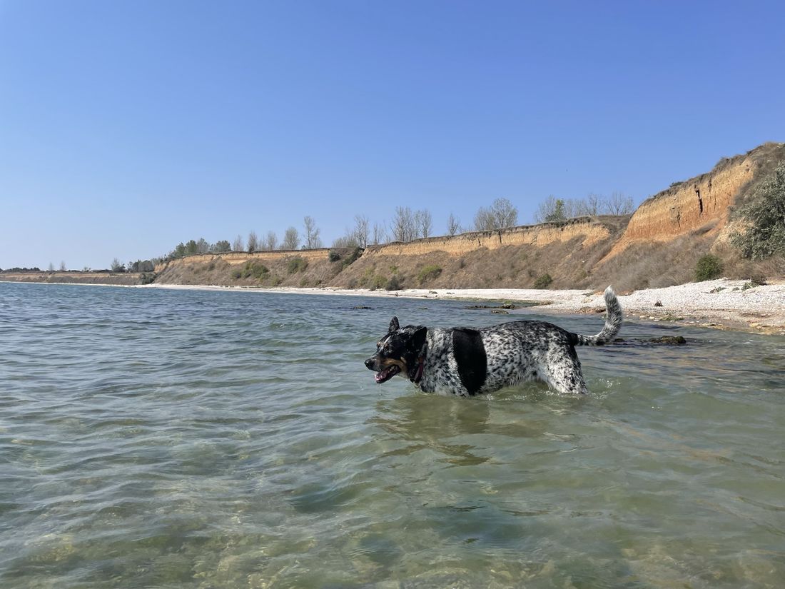 Wyciek danych osobowych sam w sobie nie jest dowodem wdrożenia kiepskich zabezpieczeń (TSUE)