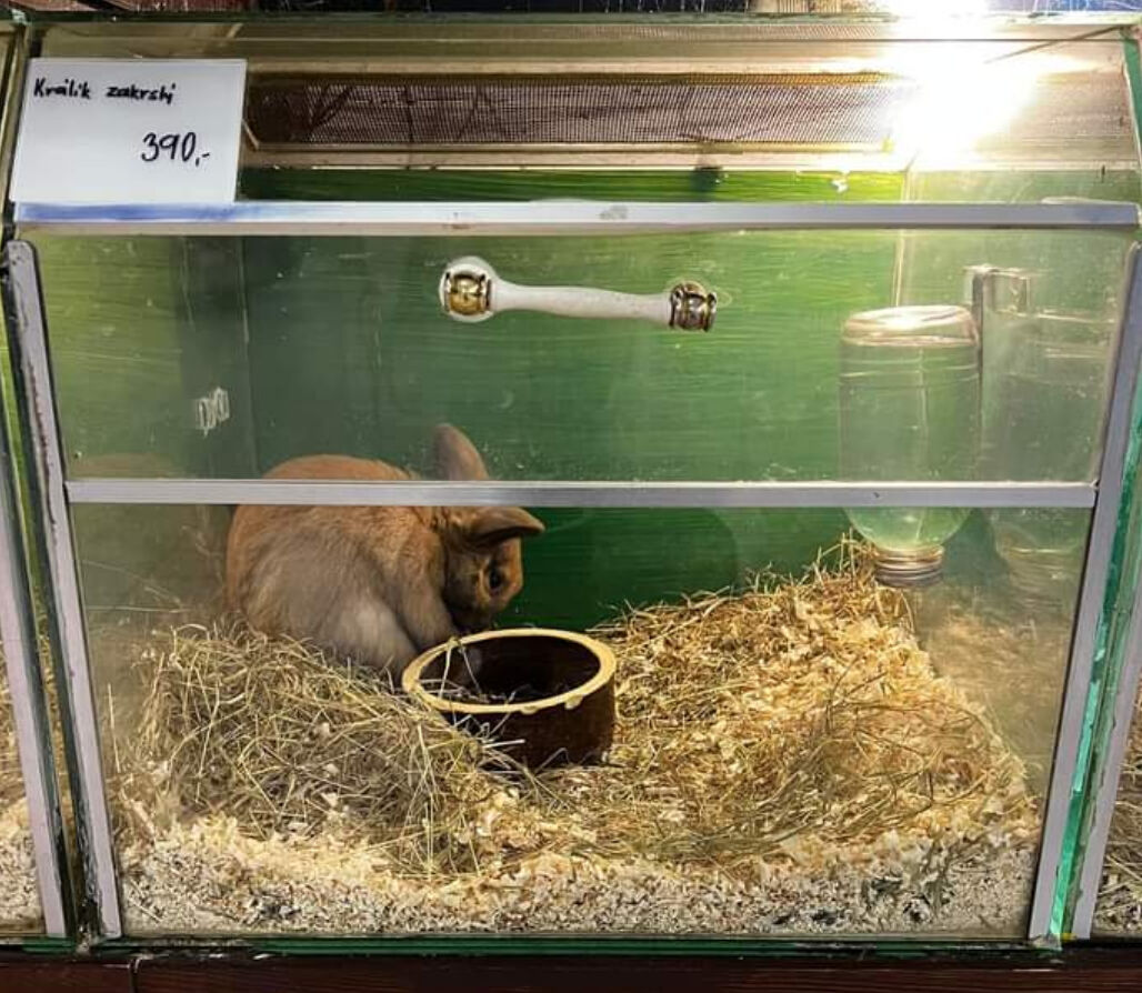 Akvatera Polcr s.r.o foto 3