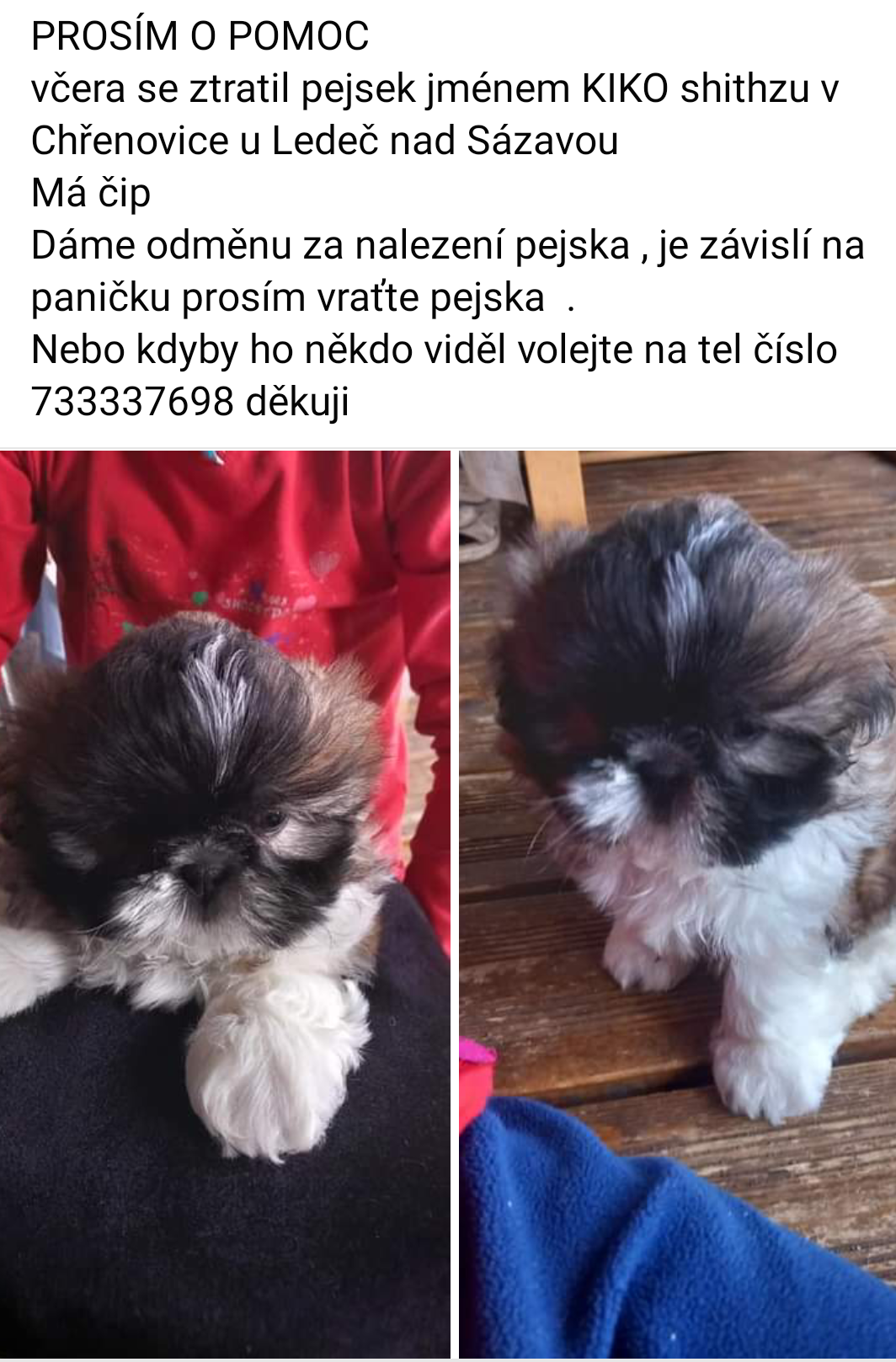 Veterinární ošetřovna MVDr. Pavel Vrbka foto 5