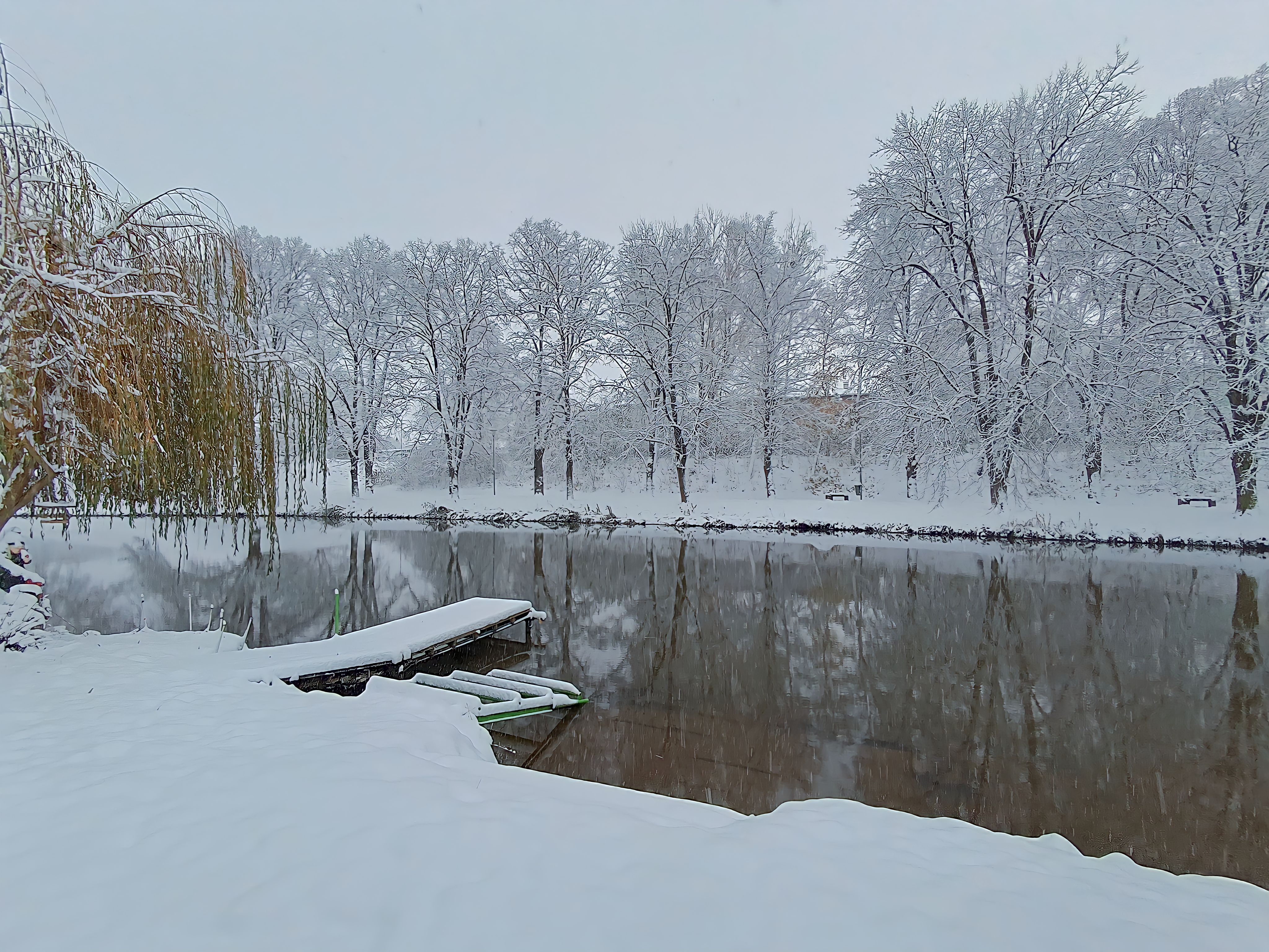 Rybářský kroužek Kapříci Čelákovice foto 2