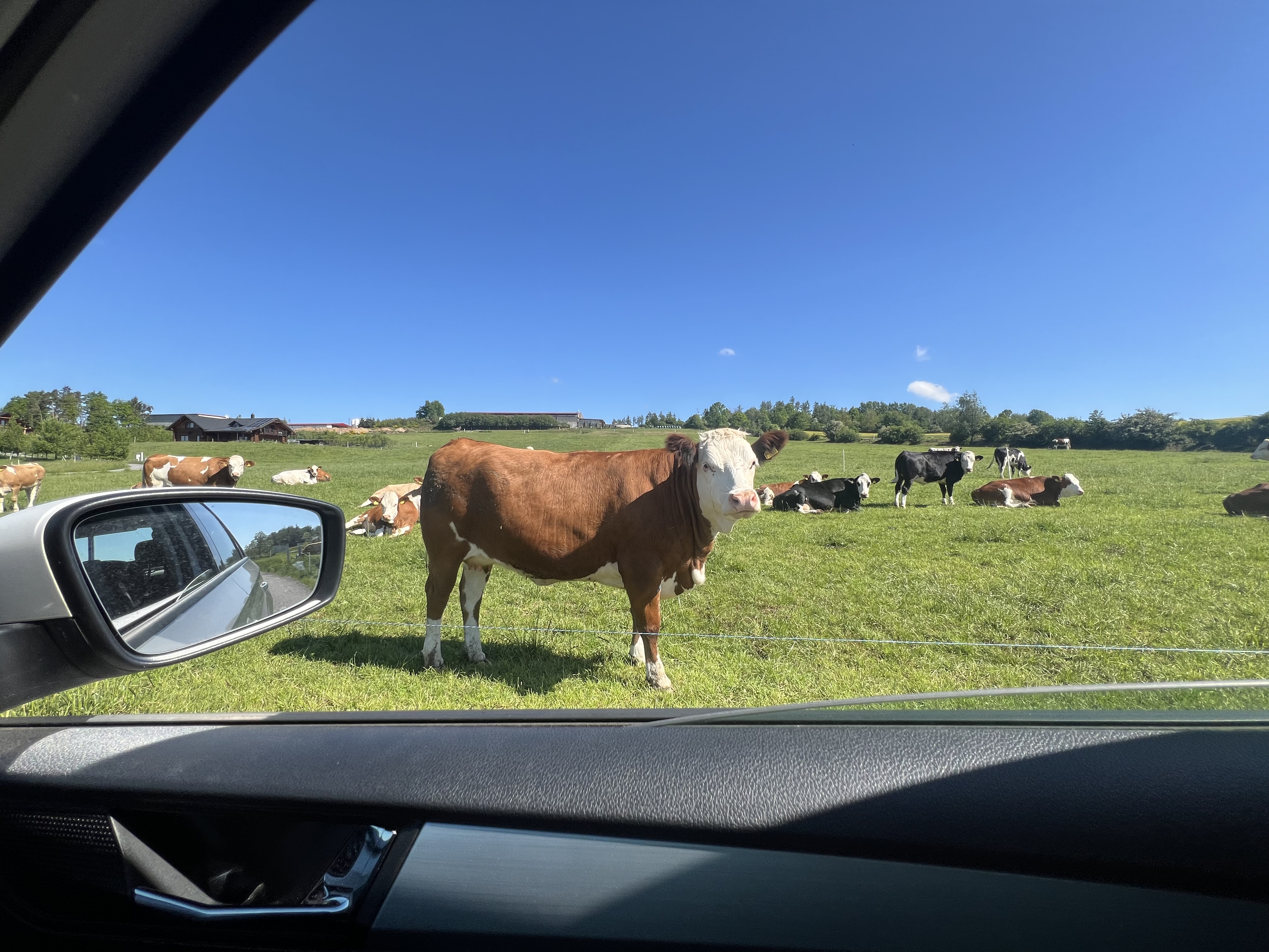 FARMA RODINY NĚMCOVY foto 5
