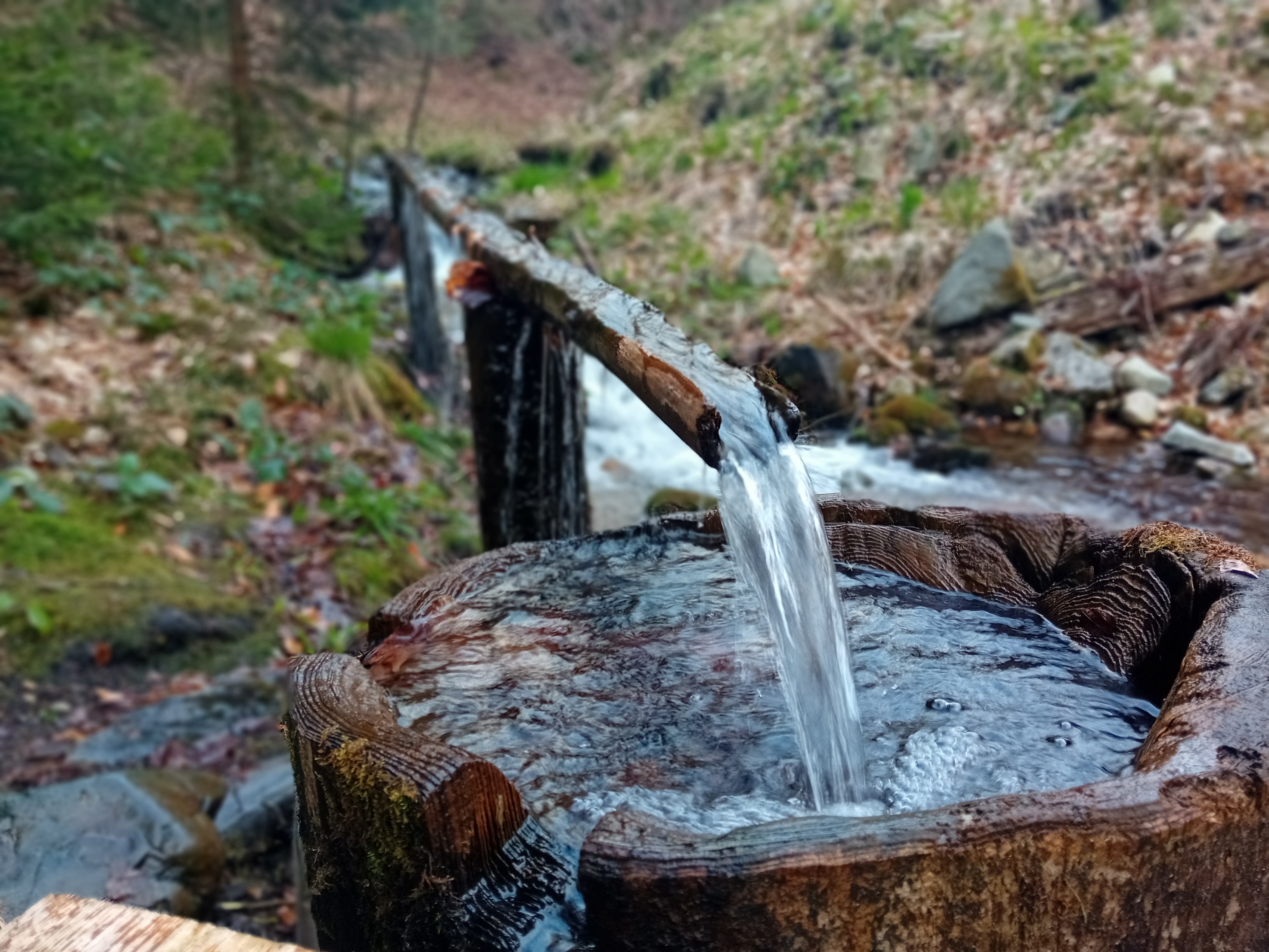 Penzion pod Smrkem foto 6