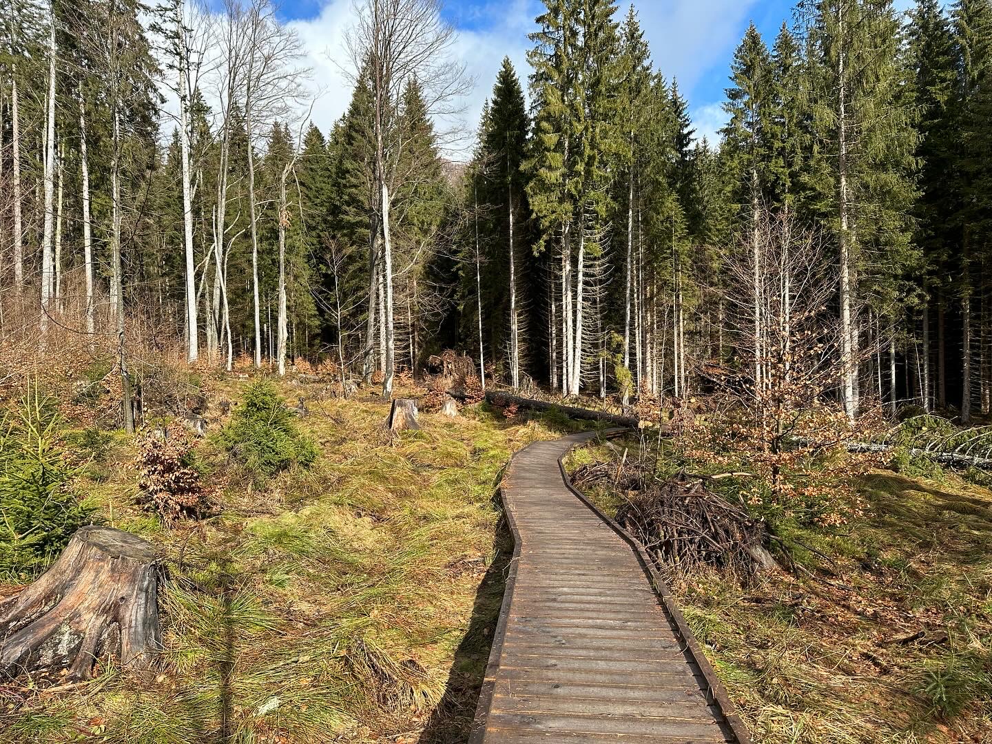Volarská roubenka foto 6