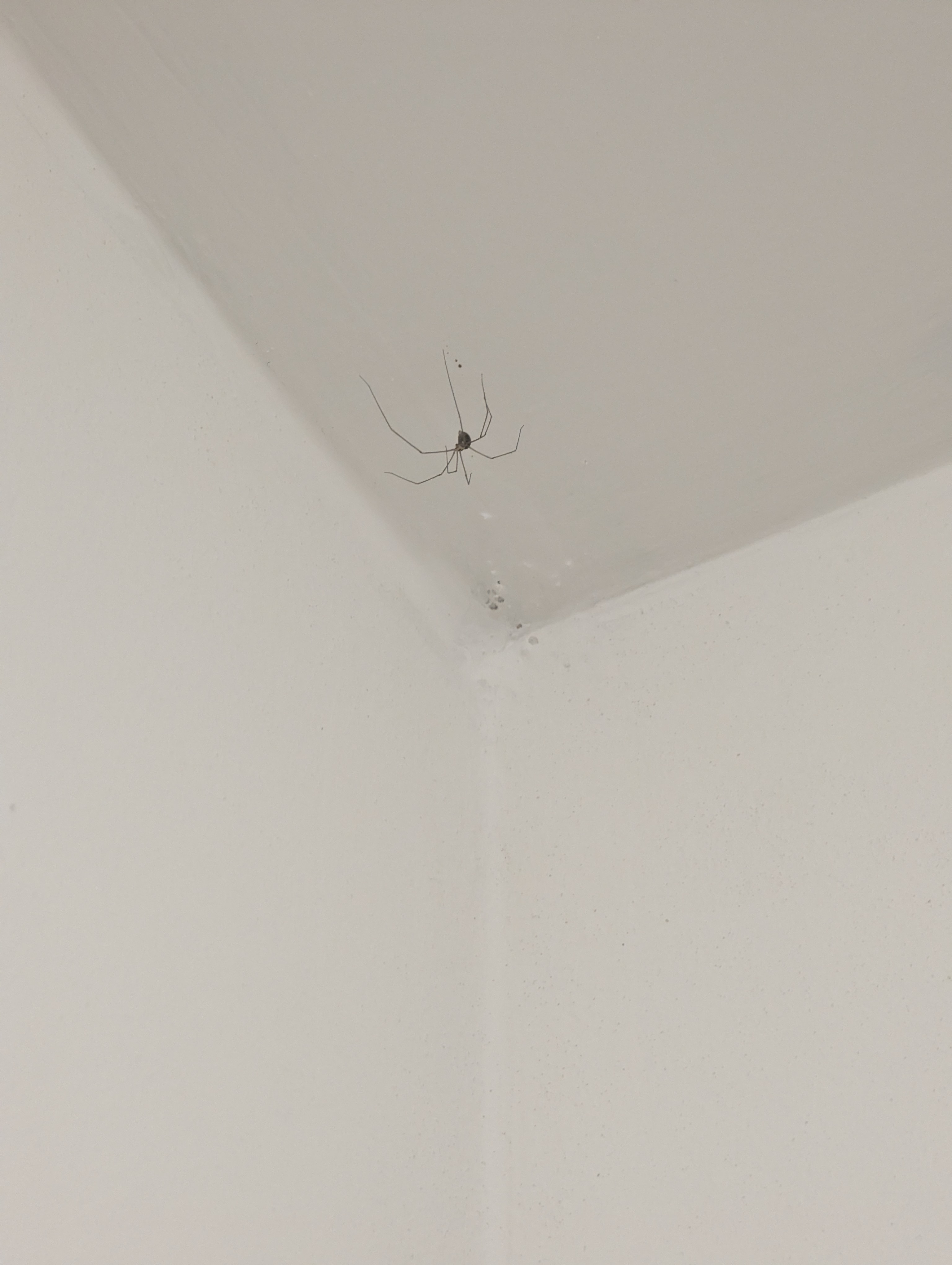u Janků foto 3