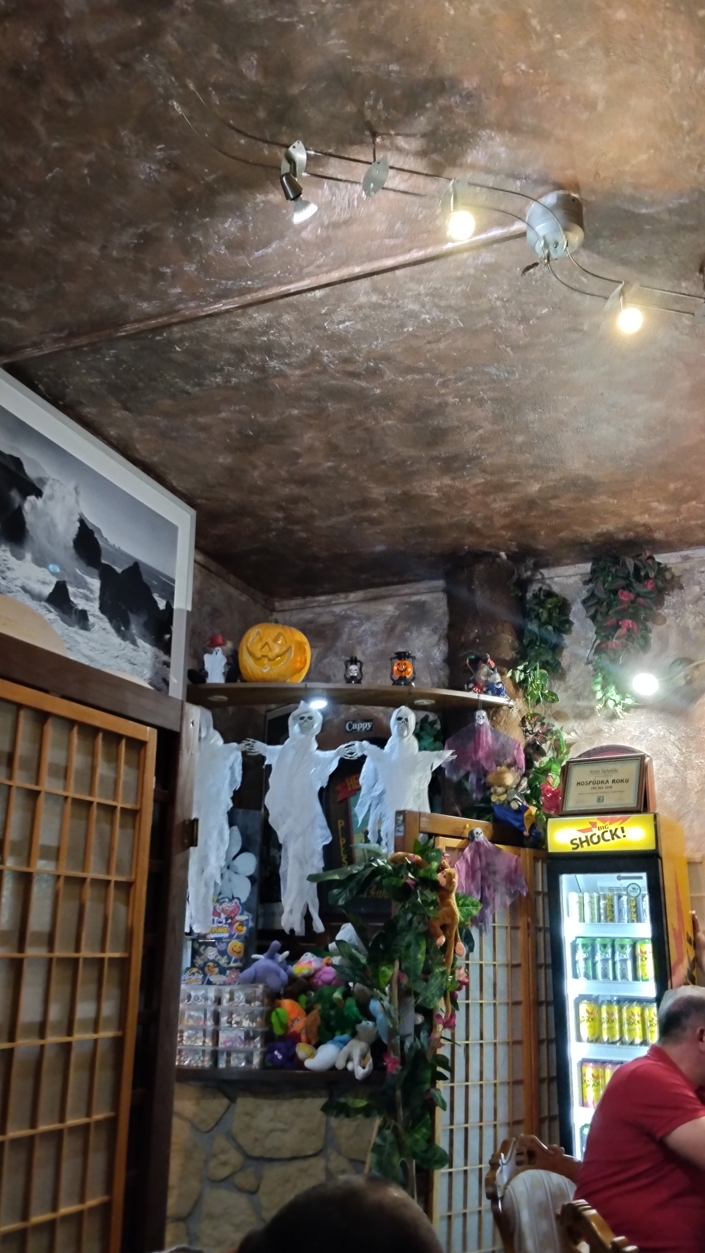 Restaurace Tropical foto 6