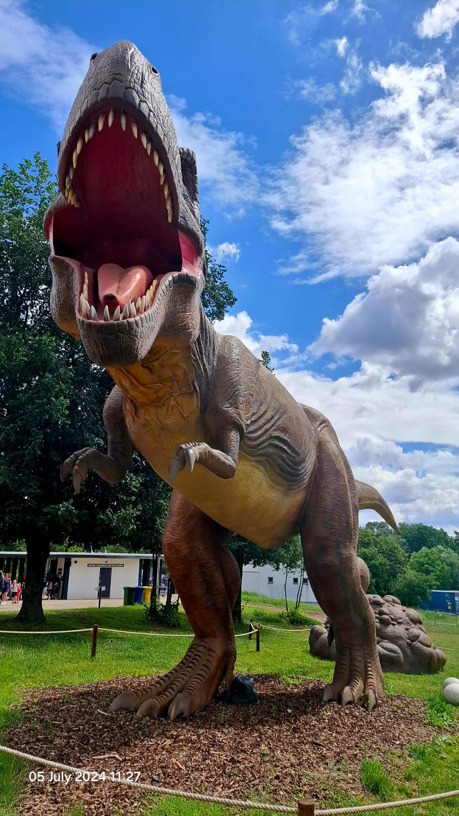 DinoLive foto 4