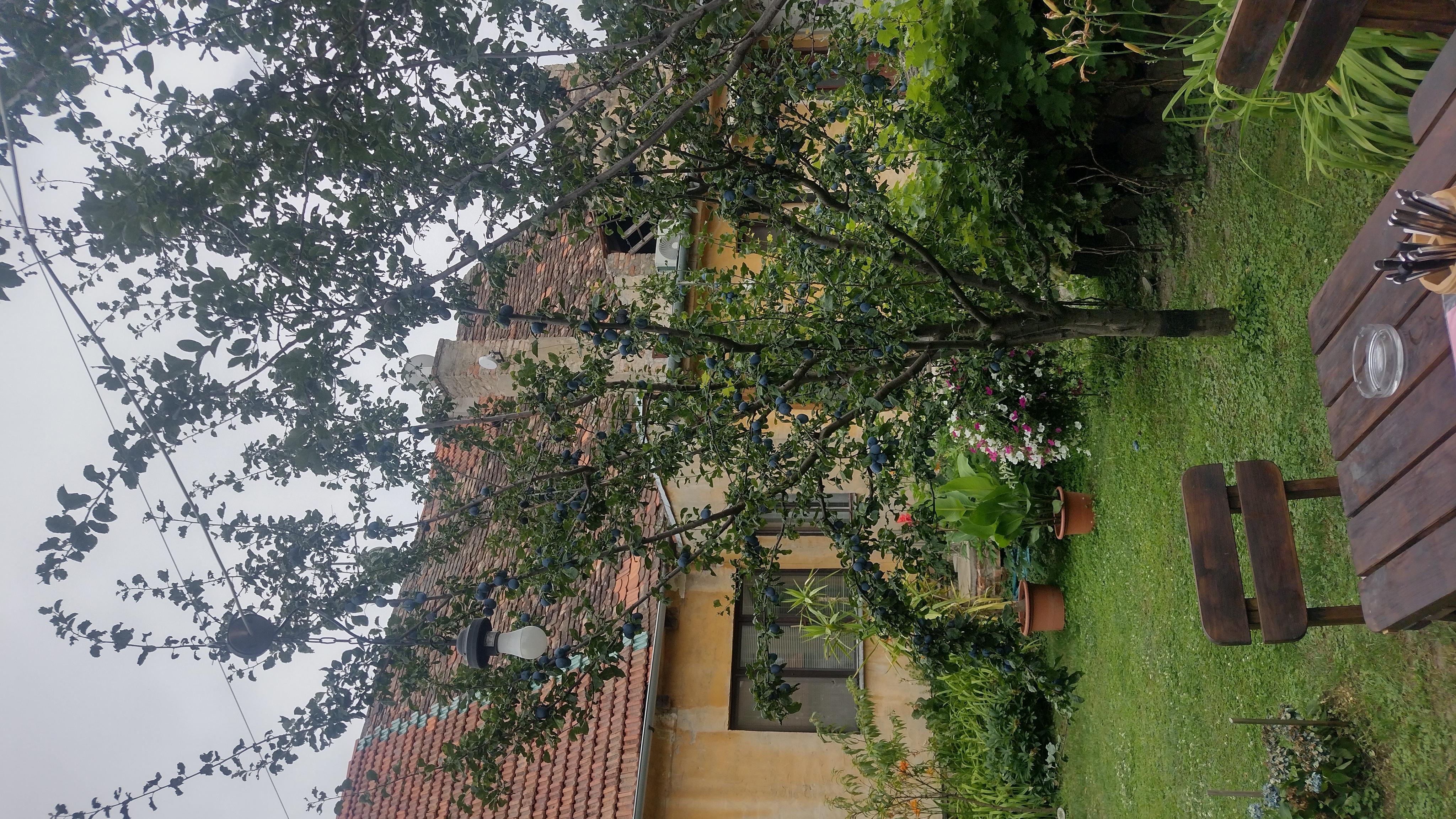 Hospůdka 56 foto 2