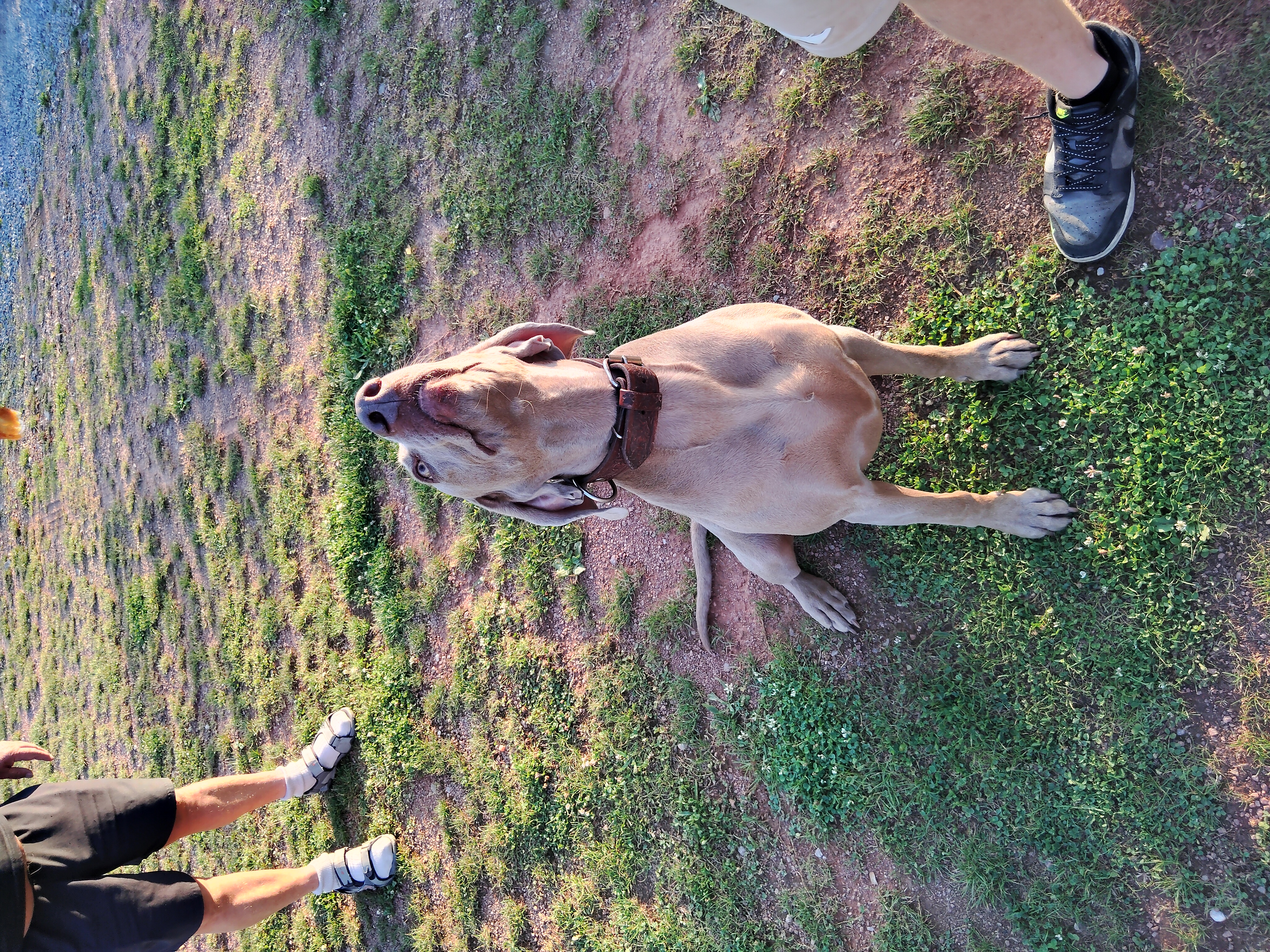 Občerstvení U Mlýna foto 3