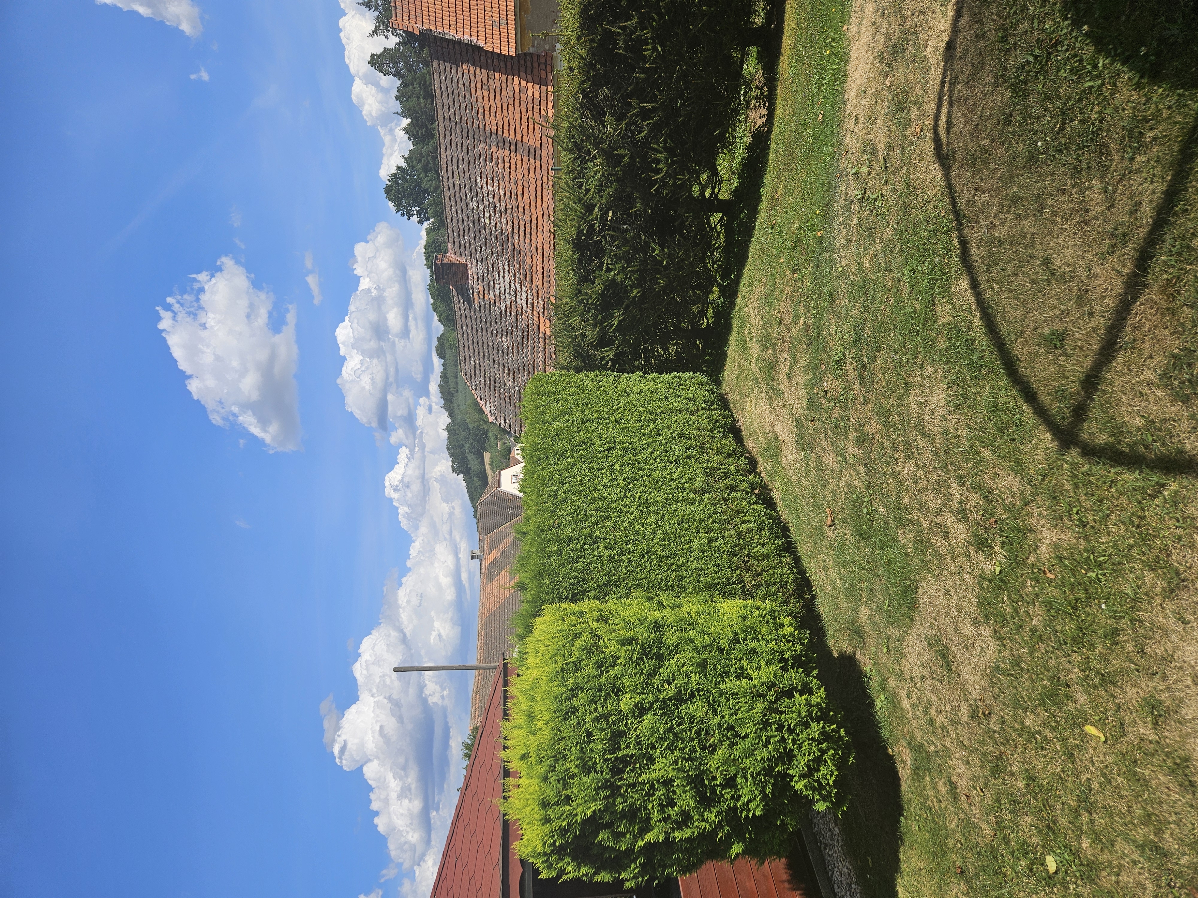 ZAHRADNÍ SPECIALISTA s.r.o. foto 2