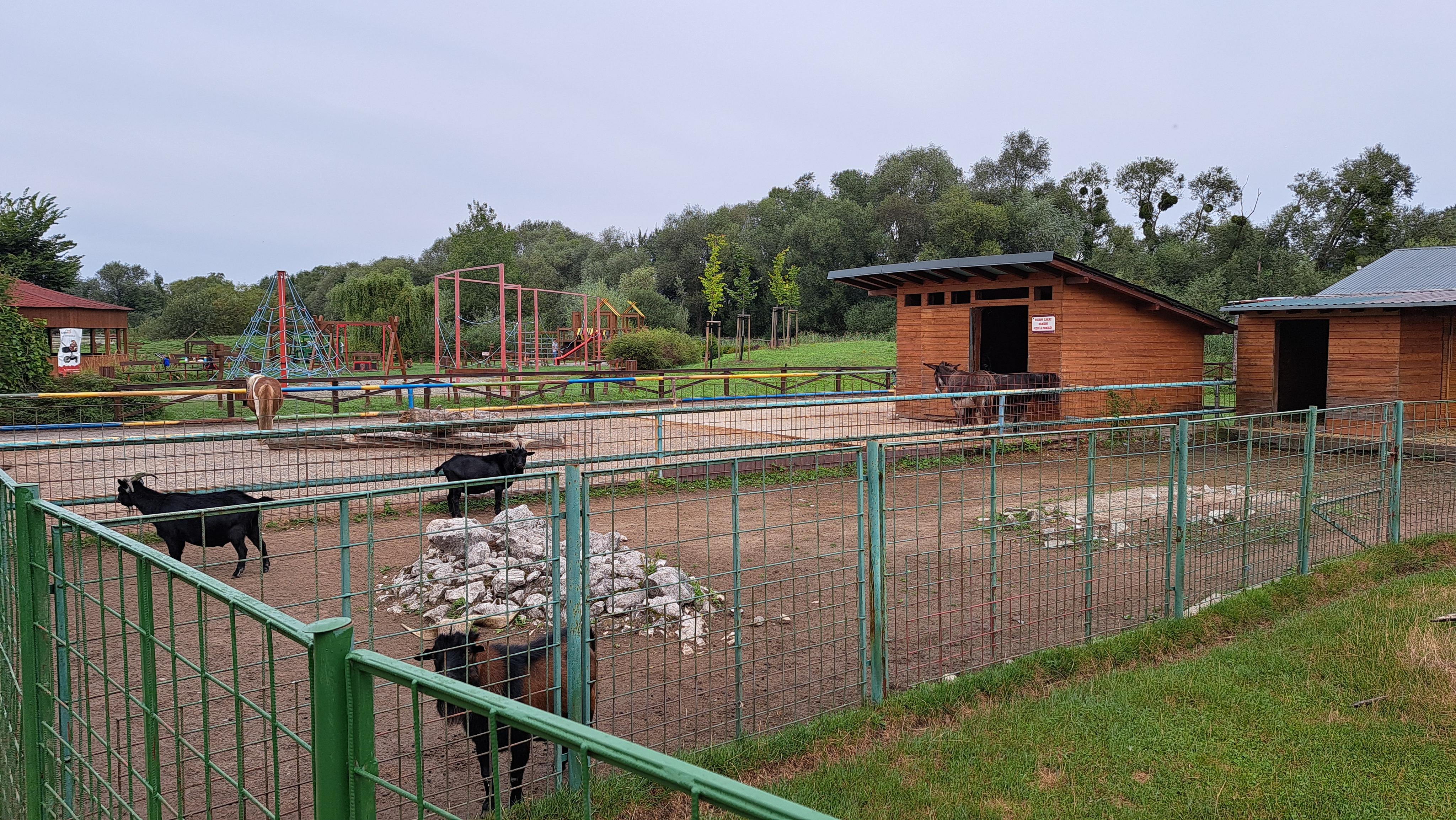 Dětský ranč Hlučín foto 5