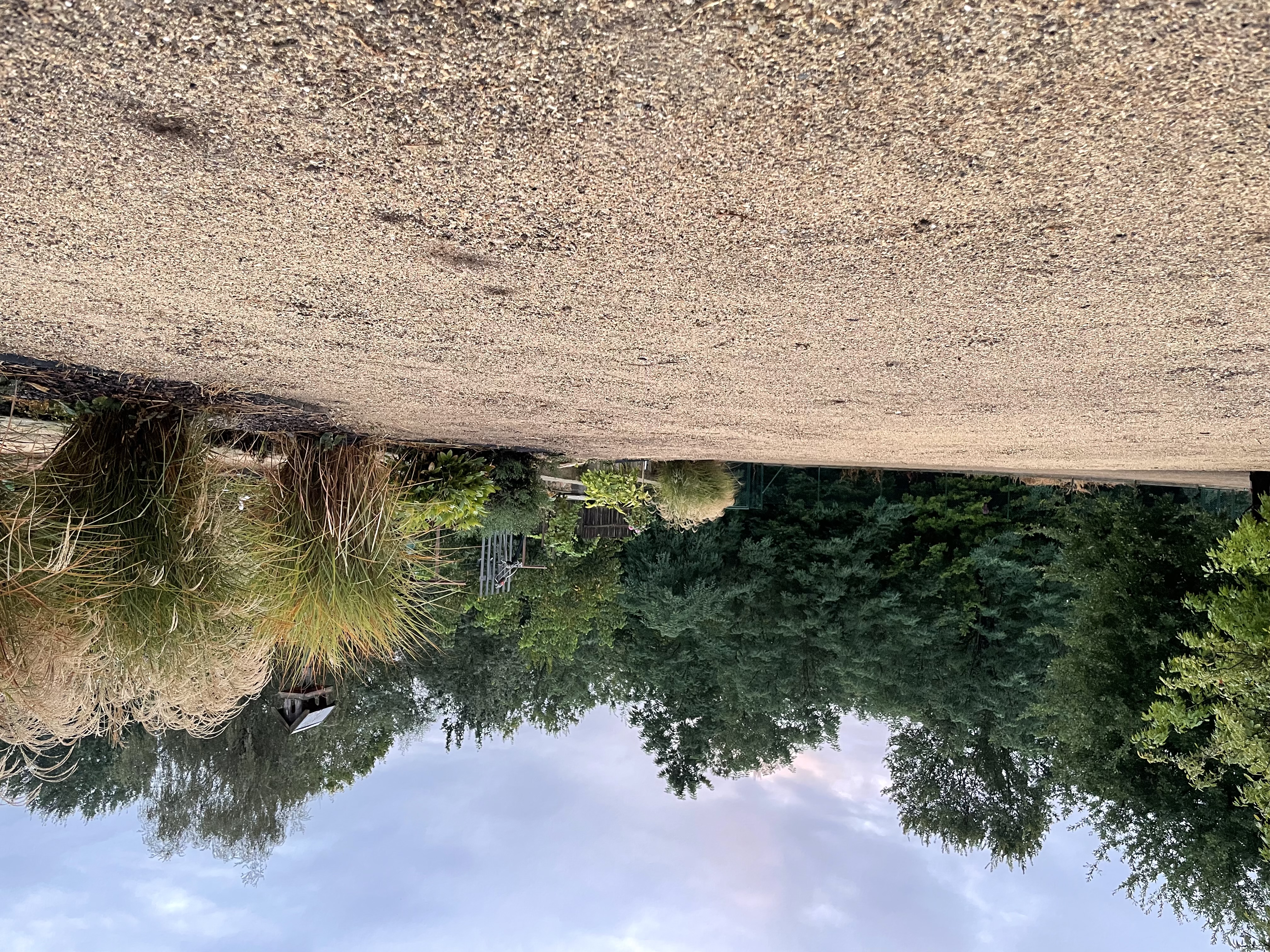 Trávníková péče Martin Náplava foto 2