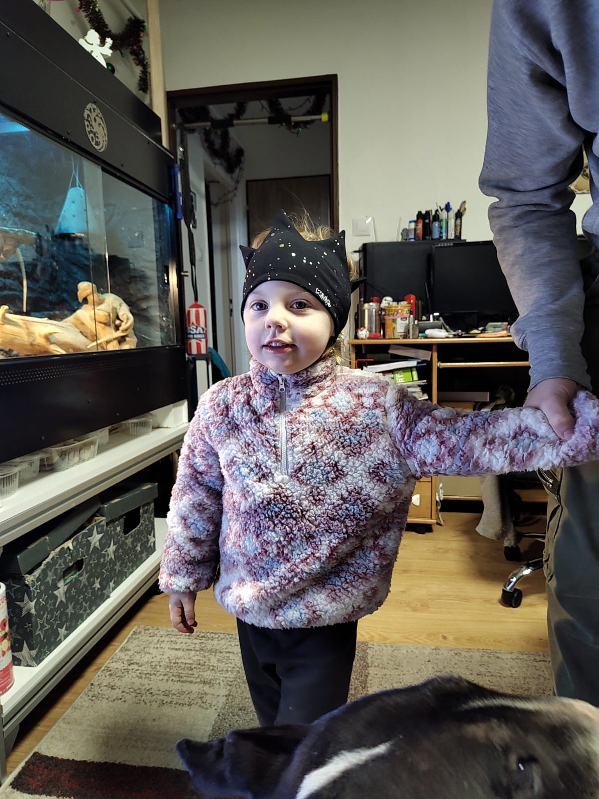 KiVi foto 2