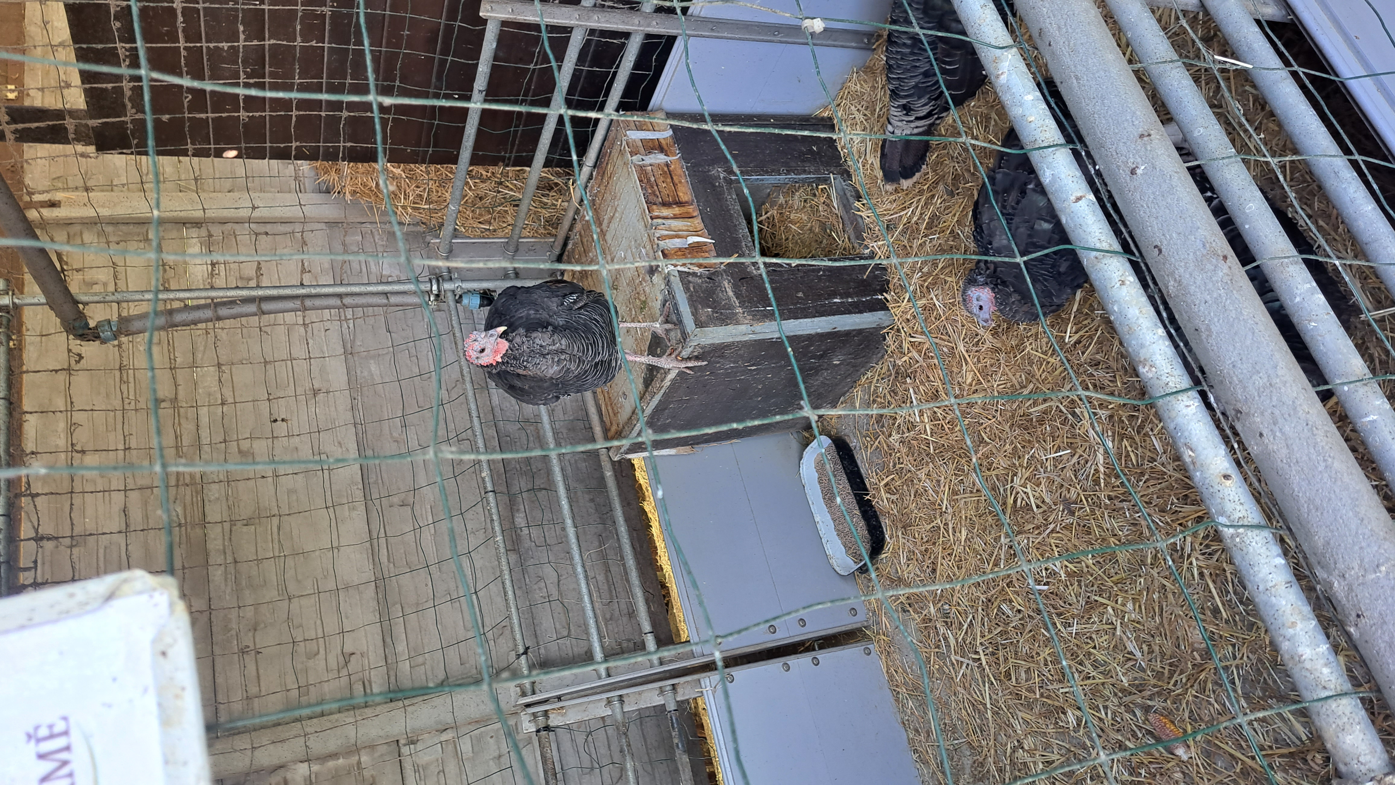 Hopík Aréna Choťovice foto 6