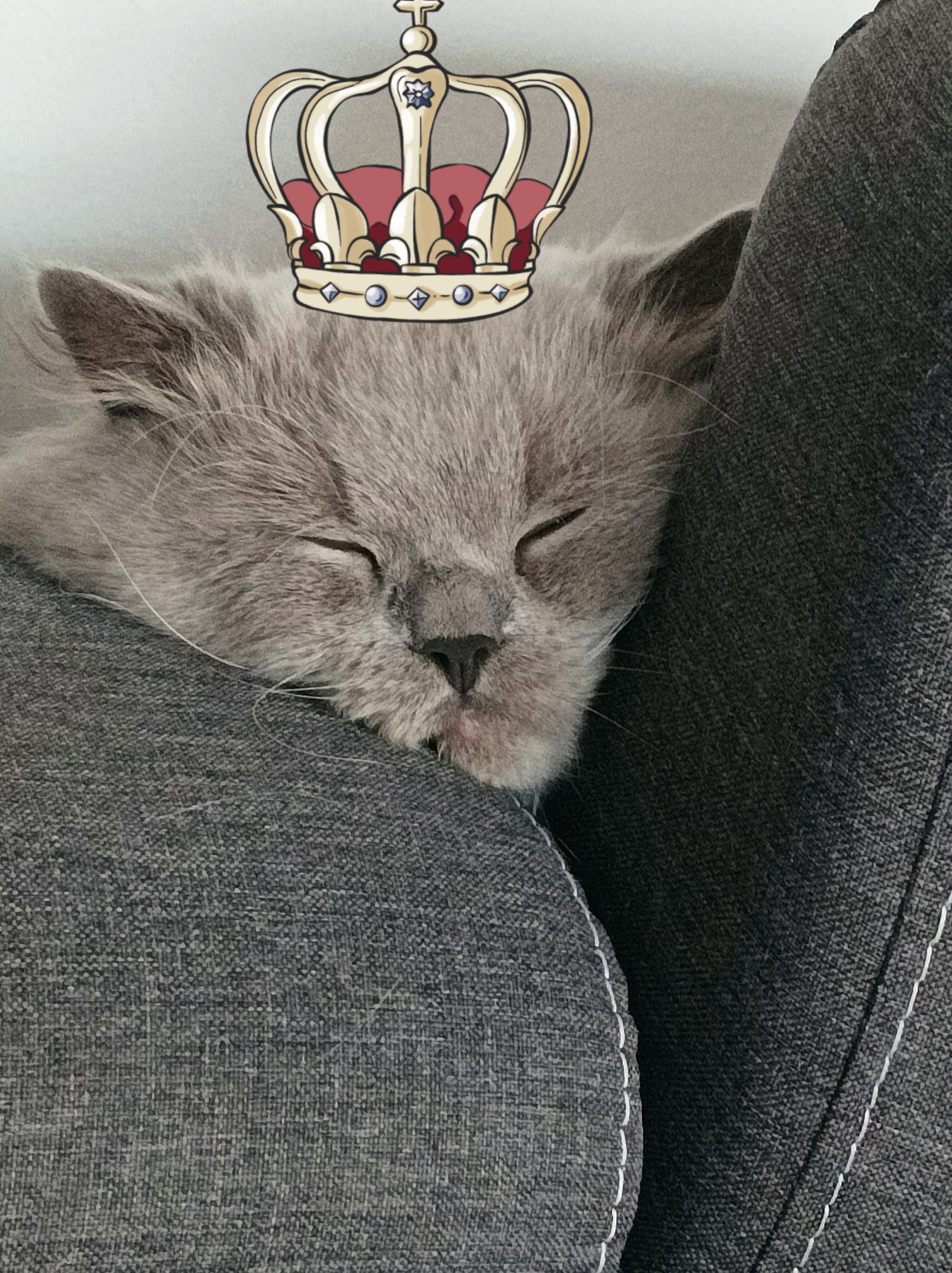 Půjčovna čističů koberců 24 foto 5