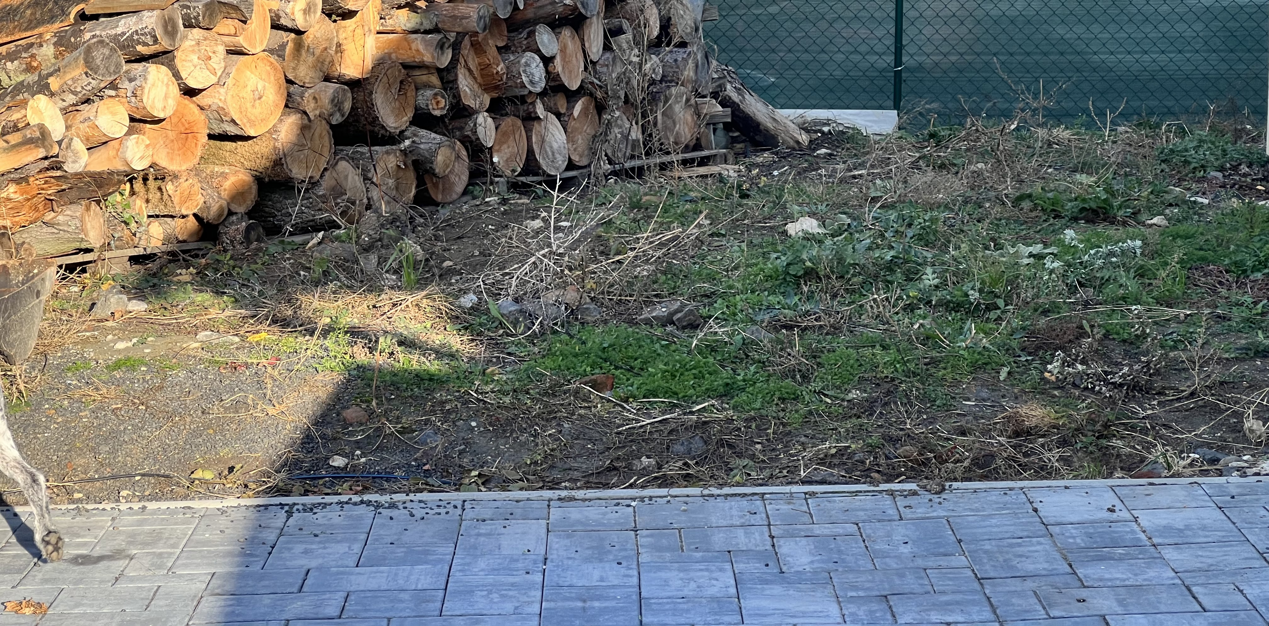 Půjčovna Hrubý foto 5