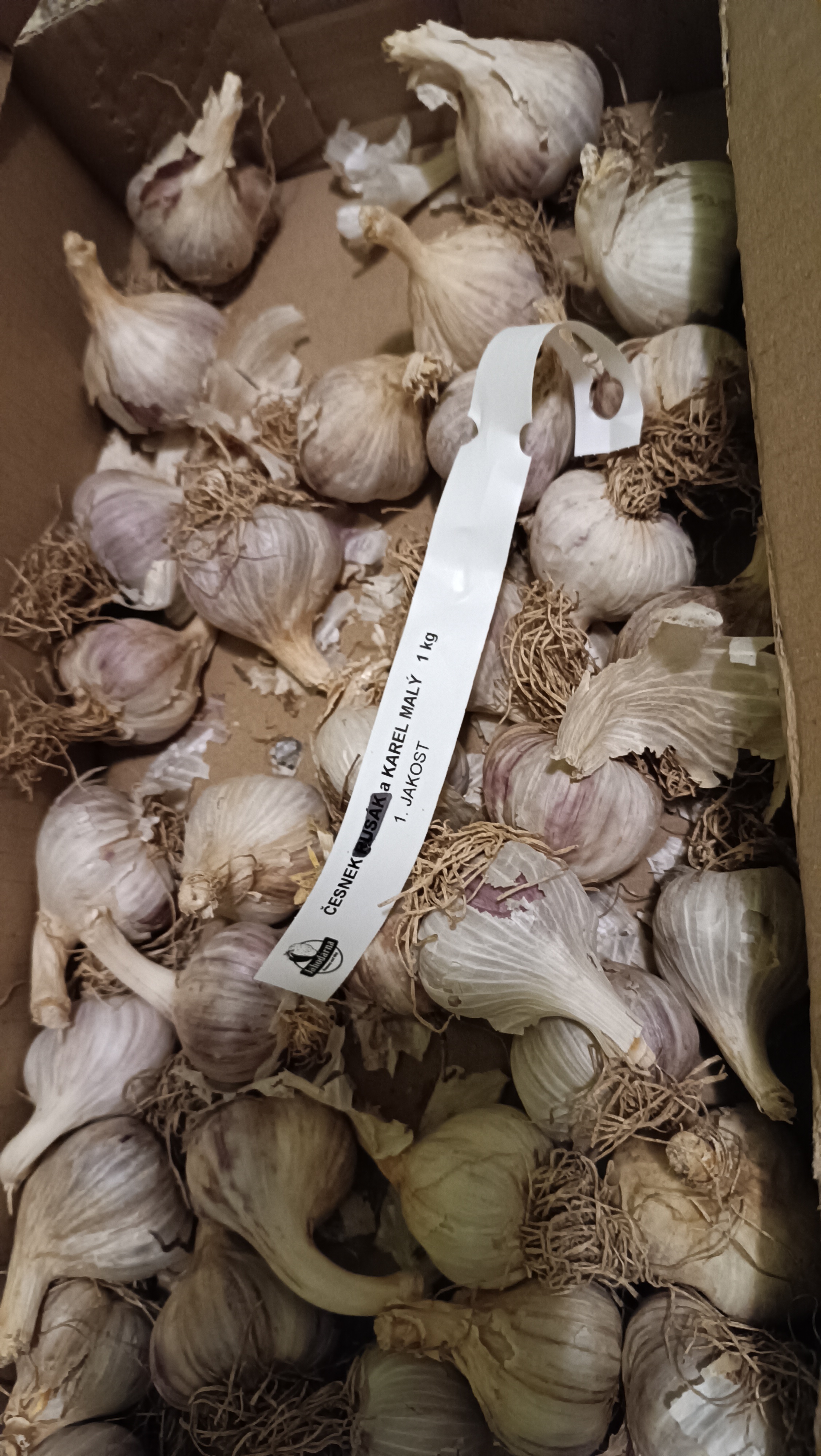 Jahodárna Brozany foto 6