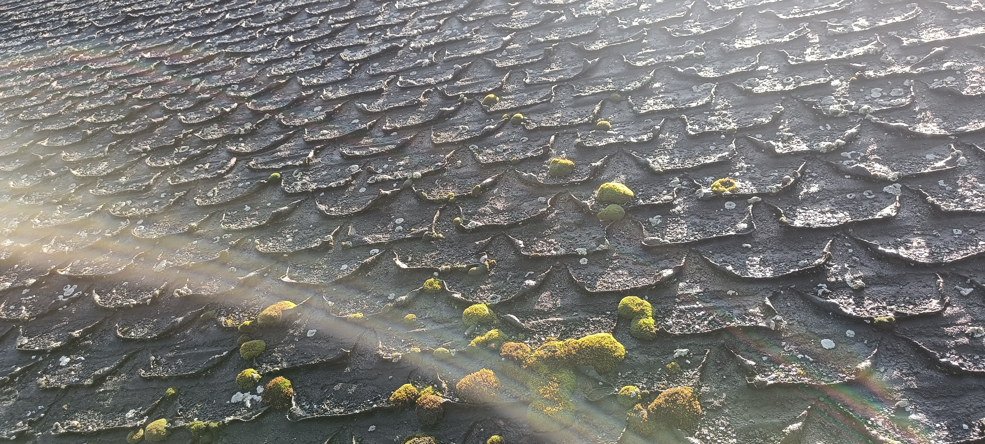 NejŘemeslníci.cz foto 4