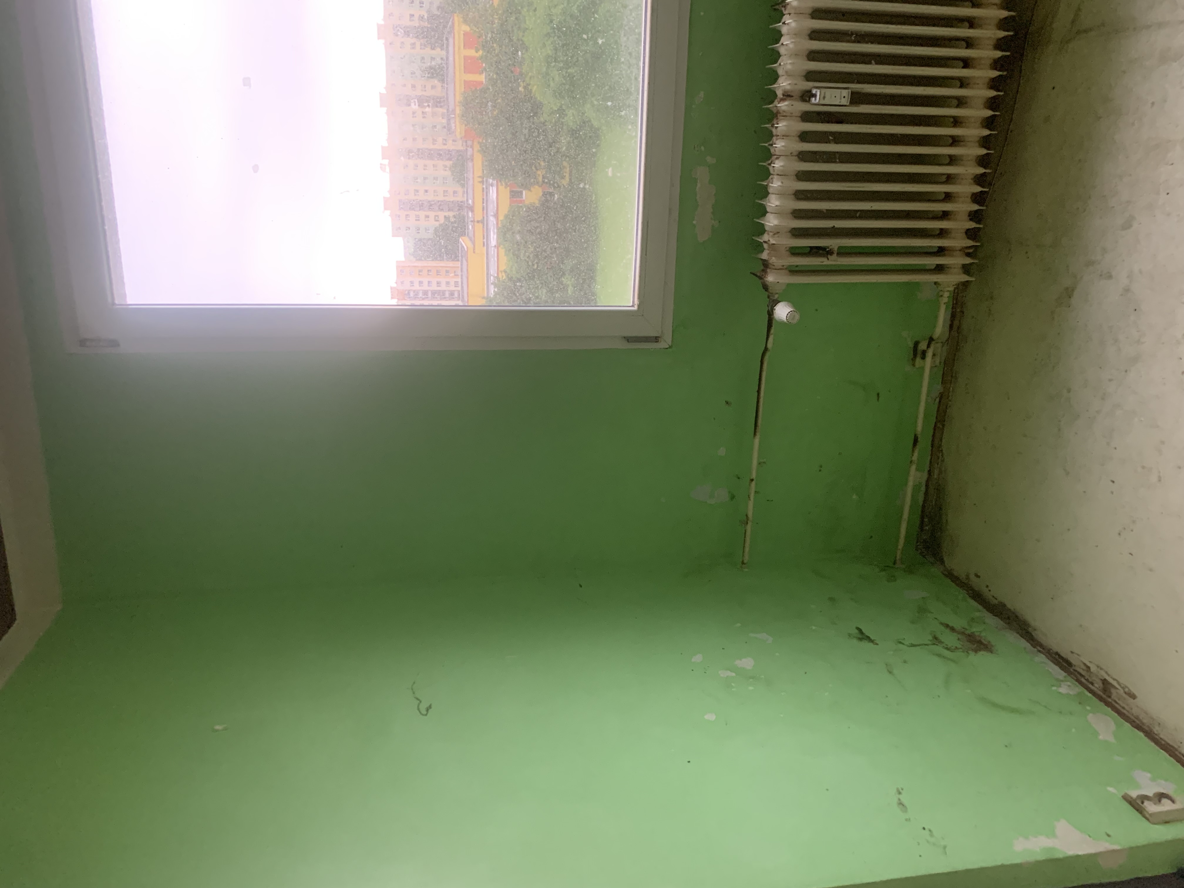 Deratizace, Dezinsekce, Dezinfekce Hubim.cz foto 3