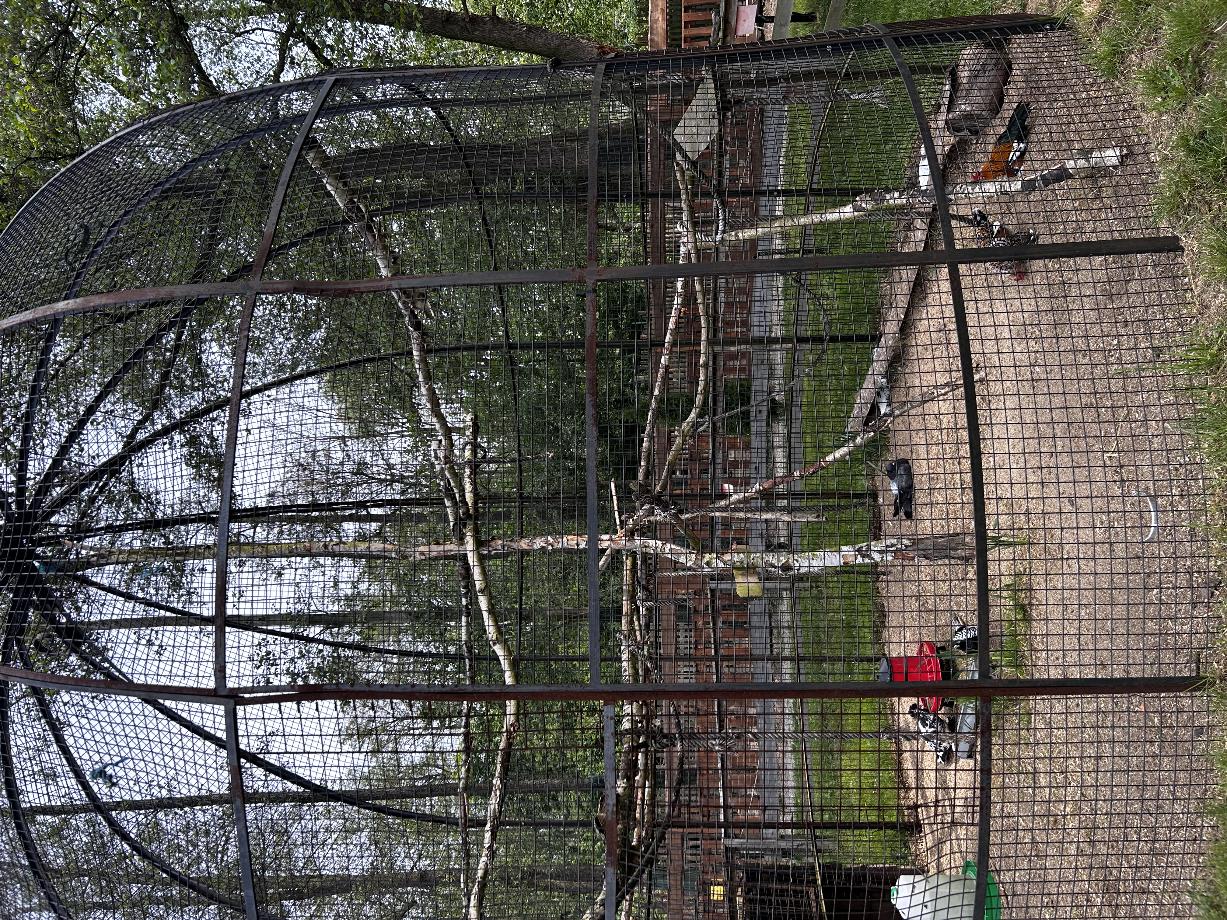 ZOOPARK Doksy foto 6