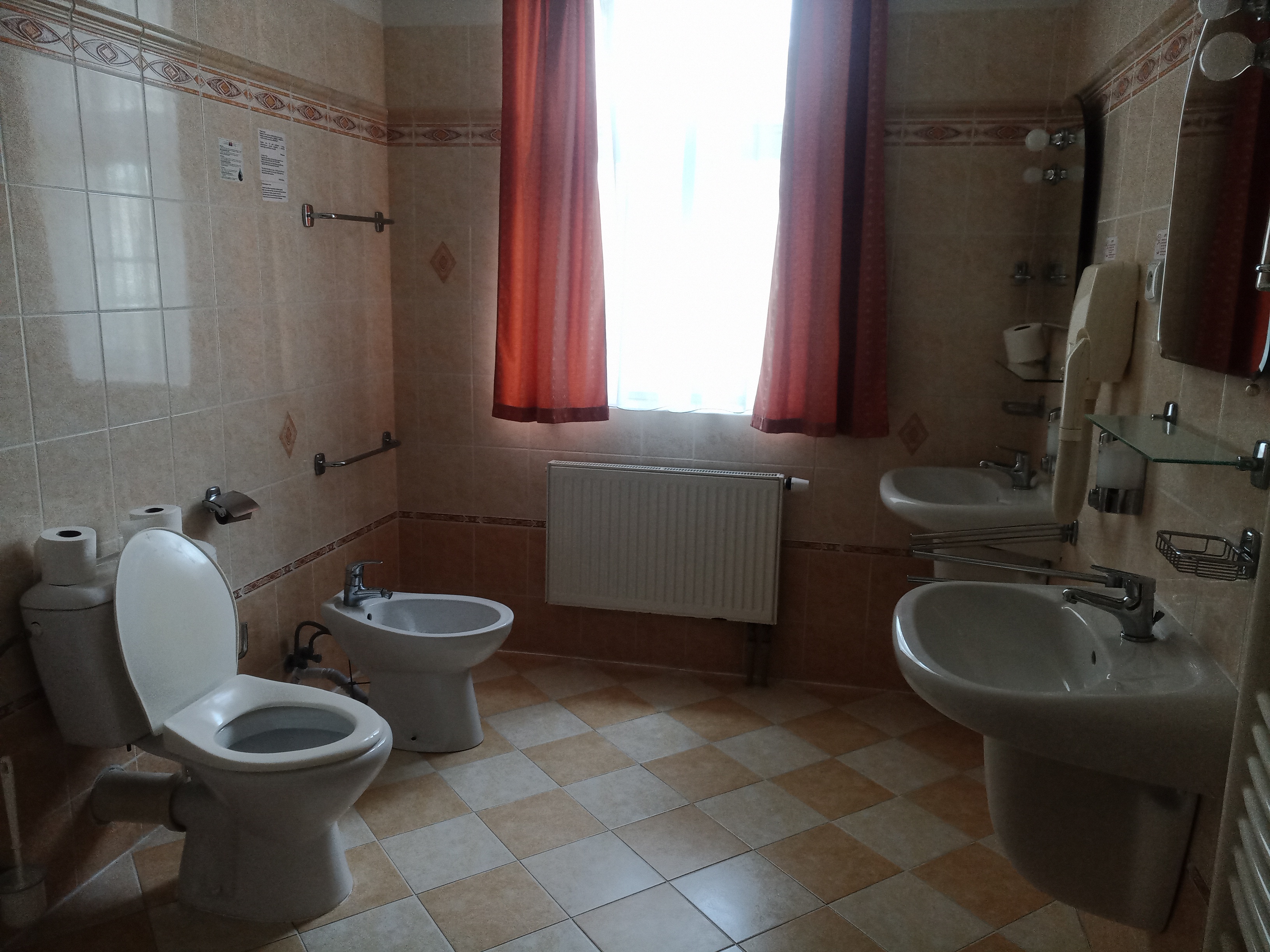 Lázeňský penzion Palacký foto 2