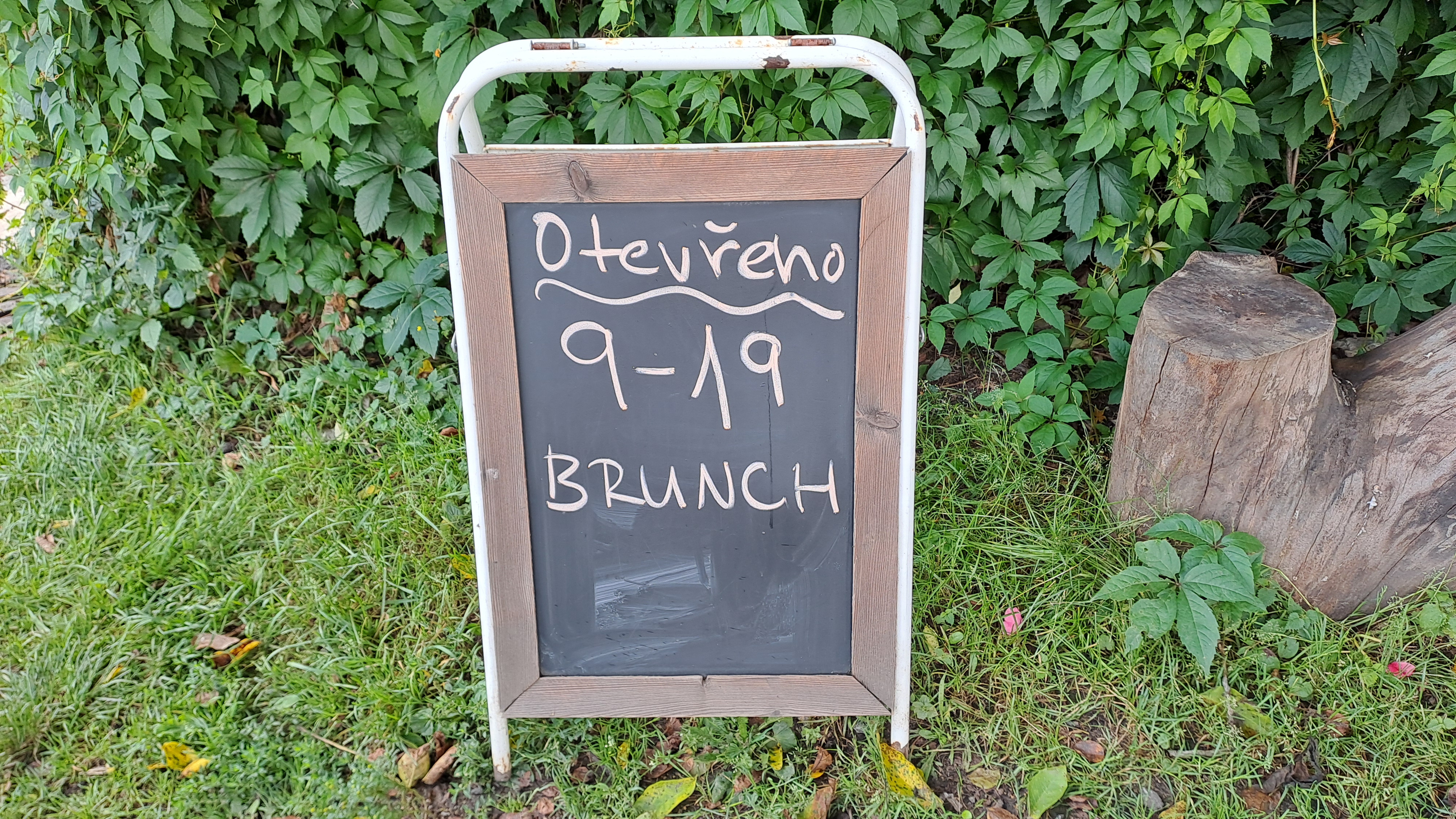 Zmrzlinárium Zahrada foto 5