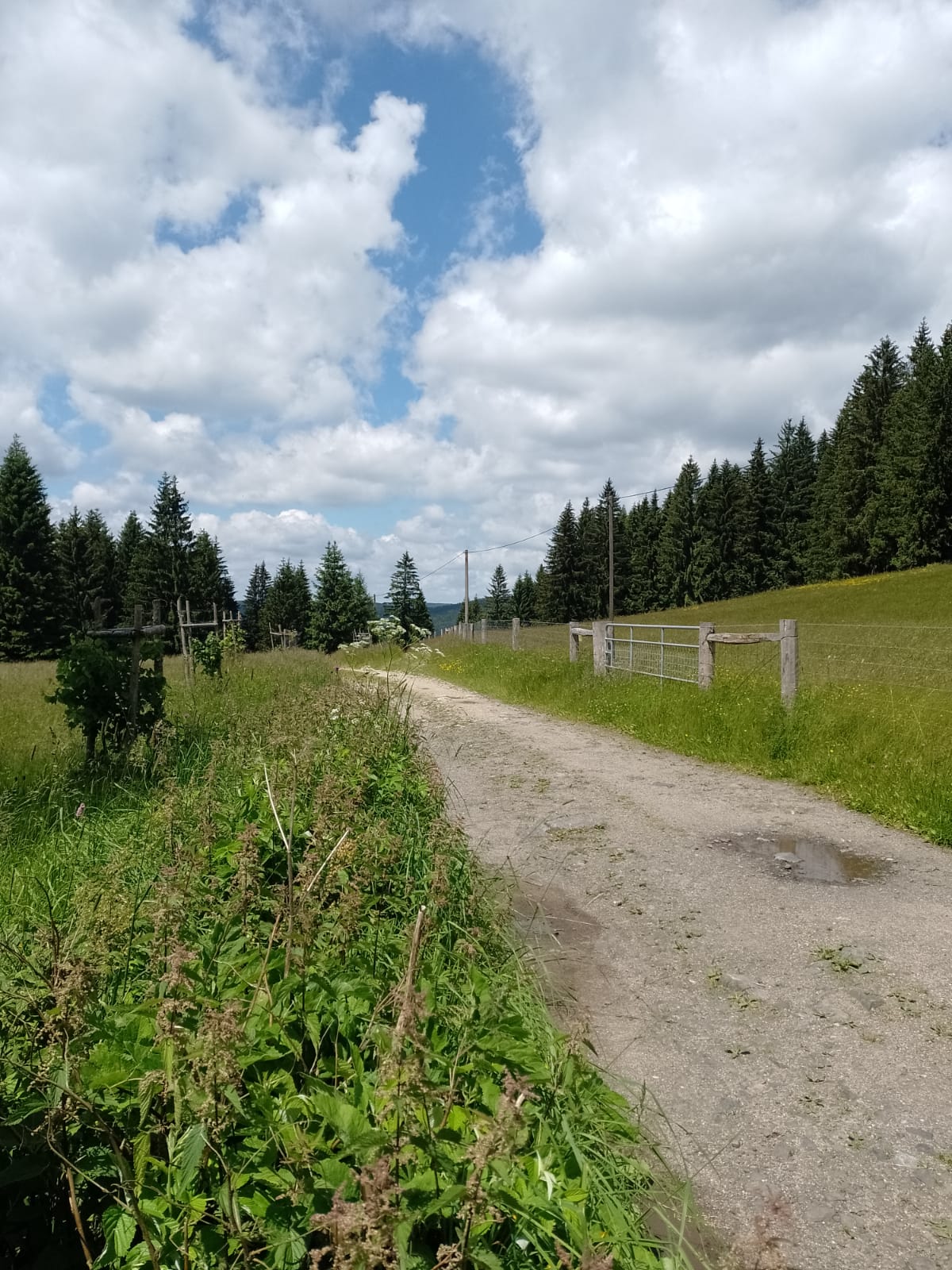 Penzion Hamerská Jizba foto 2