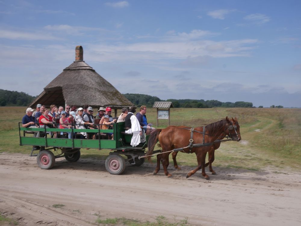 Czy granice strefy czystego transportu mogą zależeć od ustawionych znaków — czy to znaki powinny być ustawione na wjeździe do strefy? (wyrok w/s SCT w Krakowie)