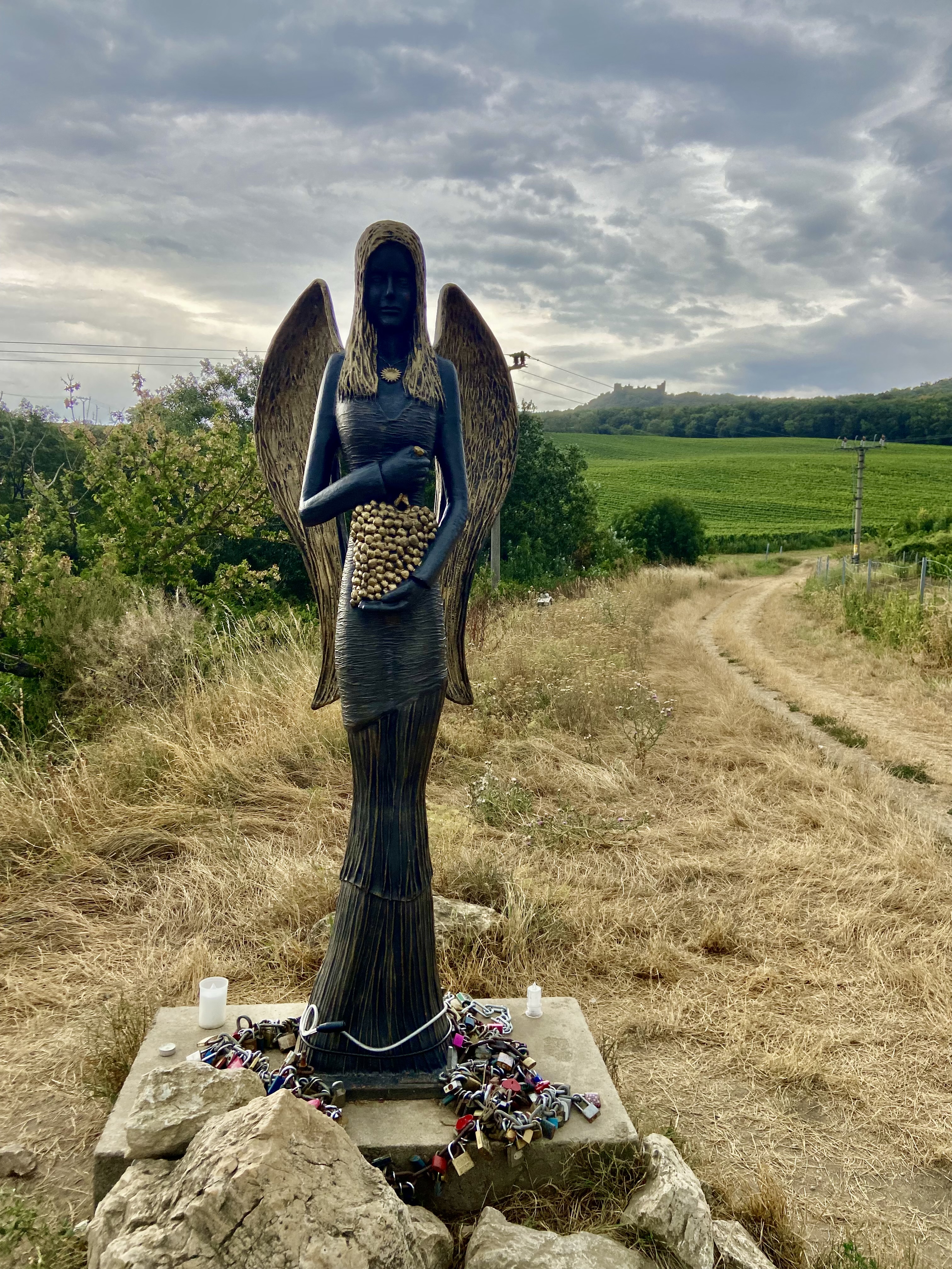 Vila Vlaštovka foto 2