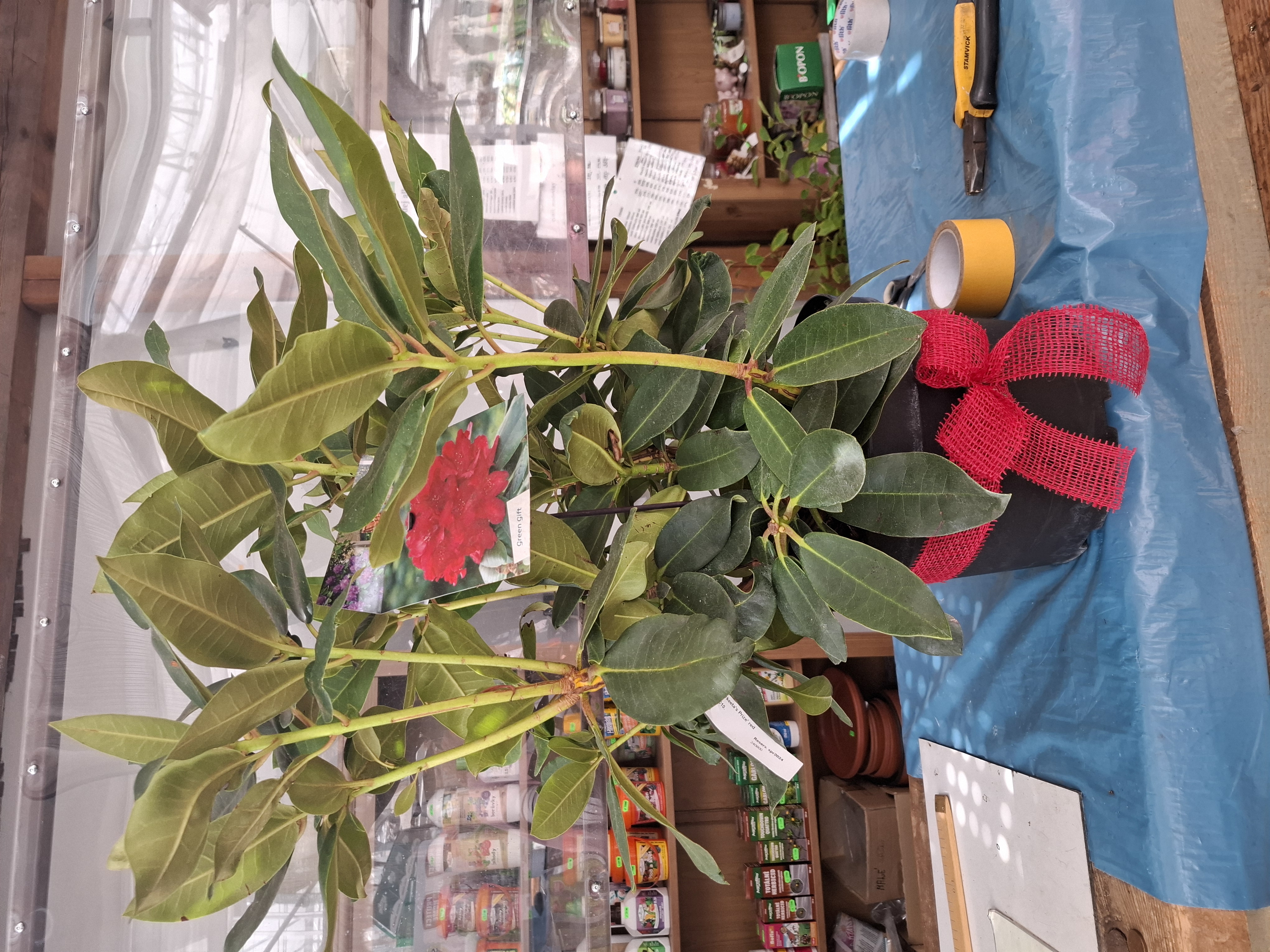 Rašelina zahradní centrum, s.r.o. foto 2