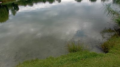 Campingplatz Erlensee (Campingplatz)  Mapy.com