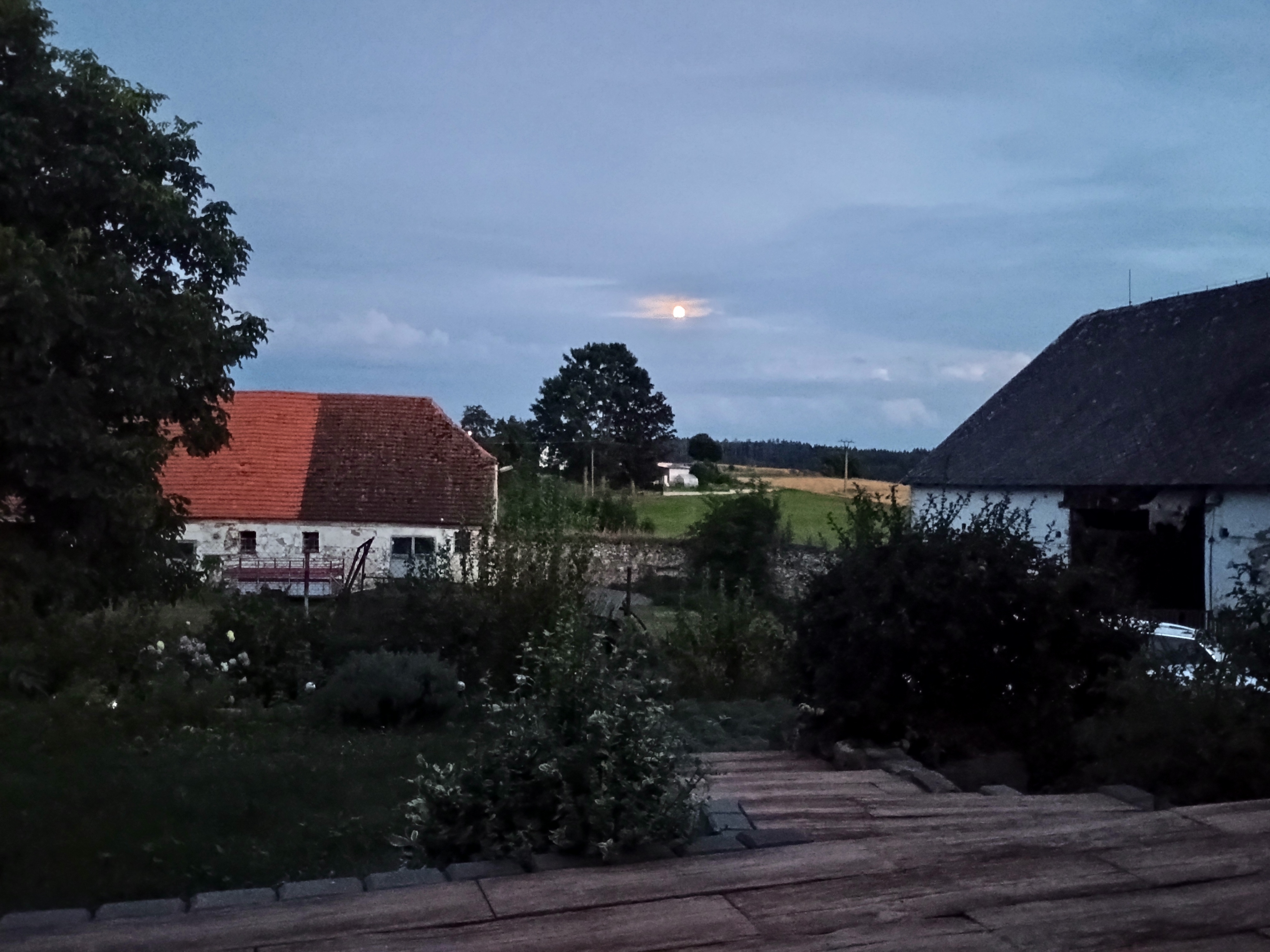 Penzion Tvrz Dub foto 5