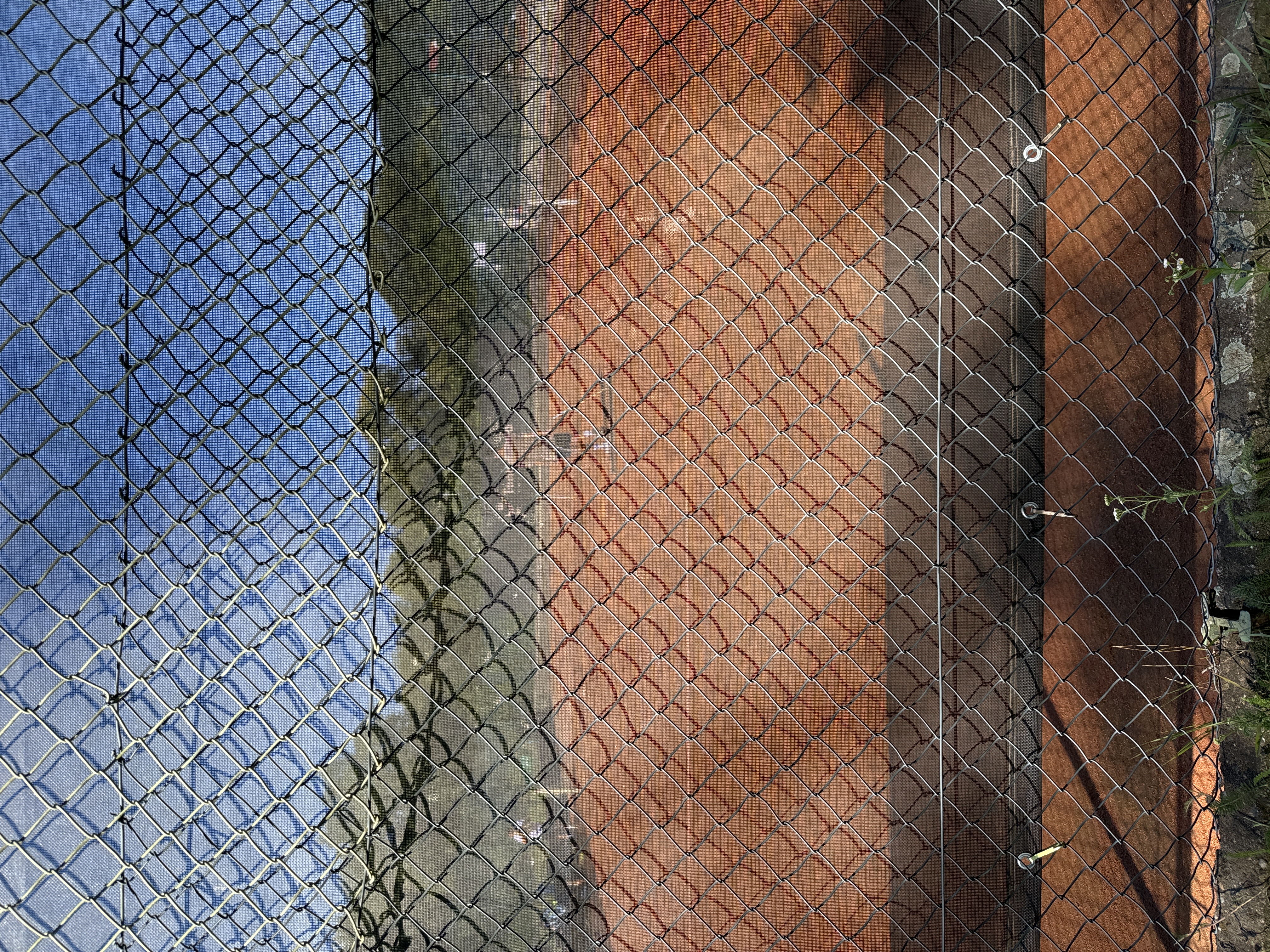 Tenisový klub Černošice, z.s. foto 2