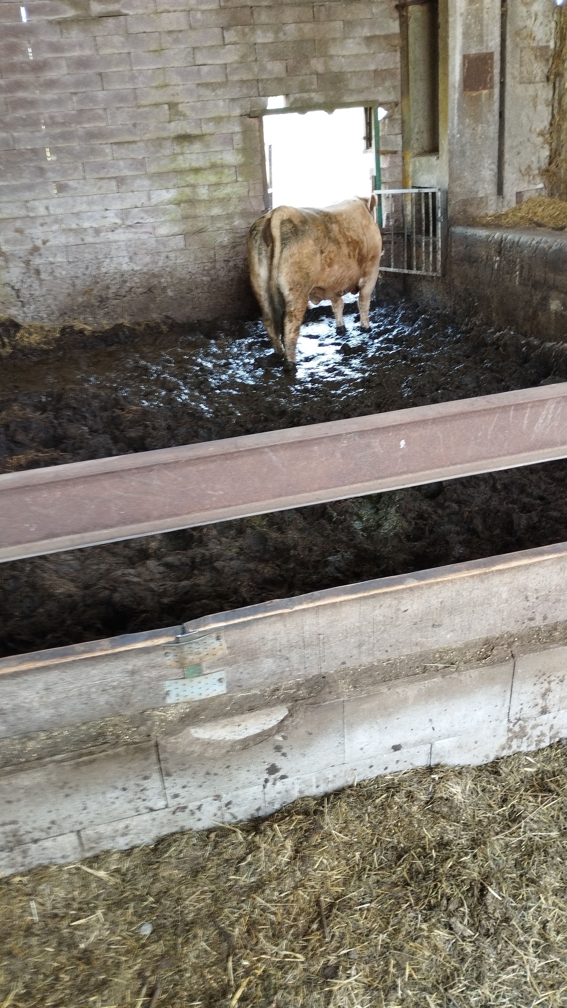 Farma Pěnčín foto 5