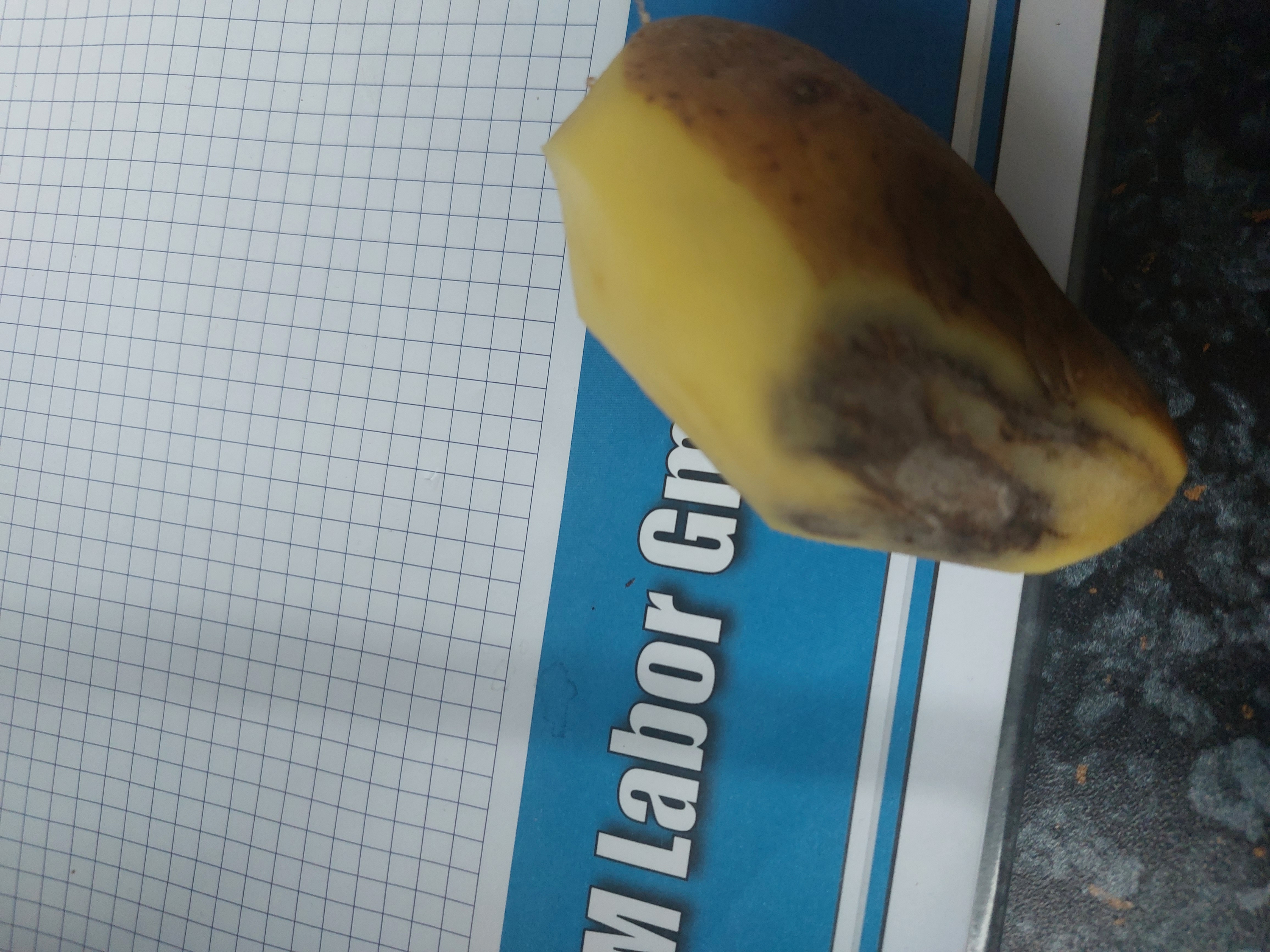 Kaufland foto 5