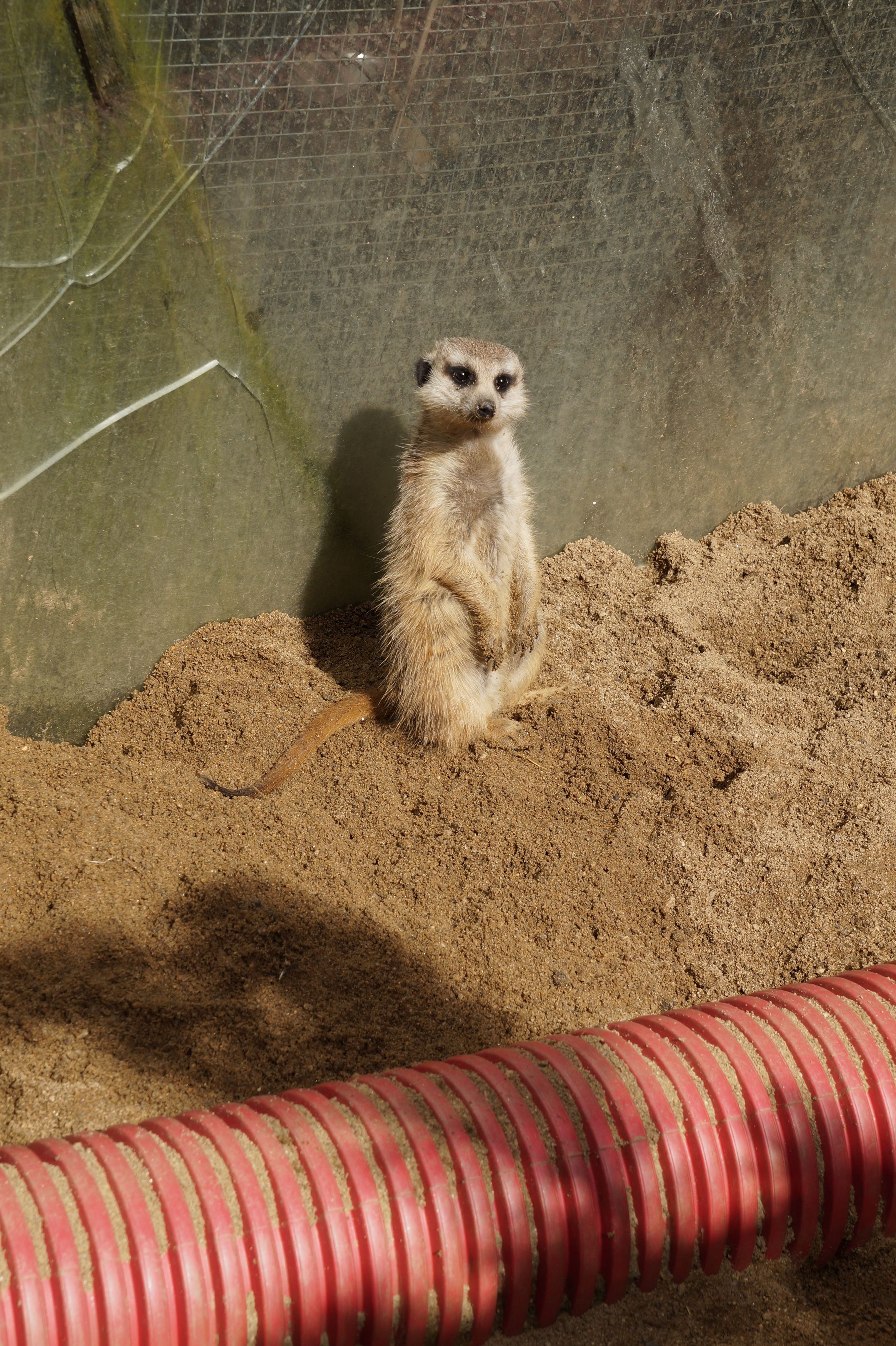 Rodinný Zookoutek Nová Říše z.s. foto 6