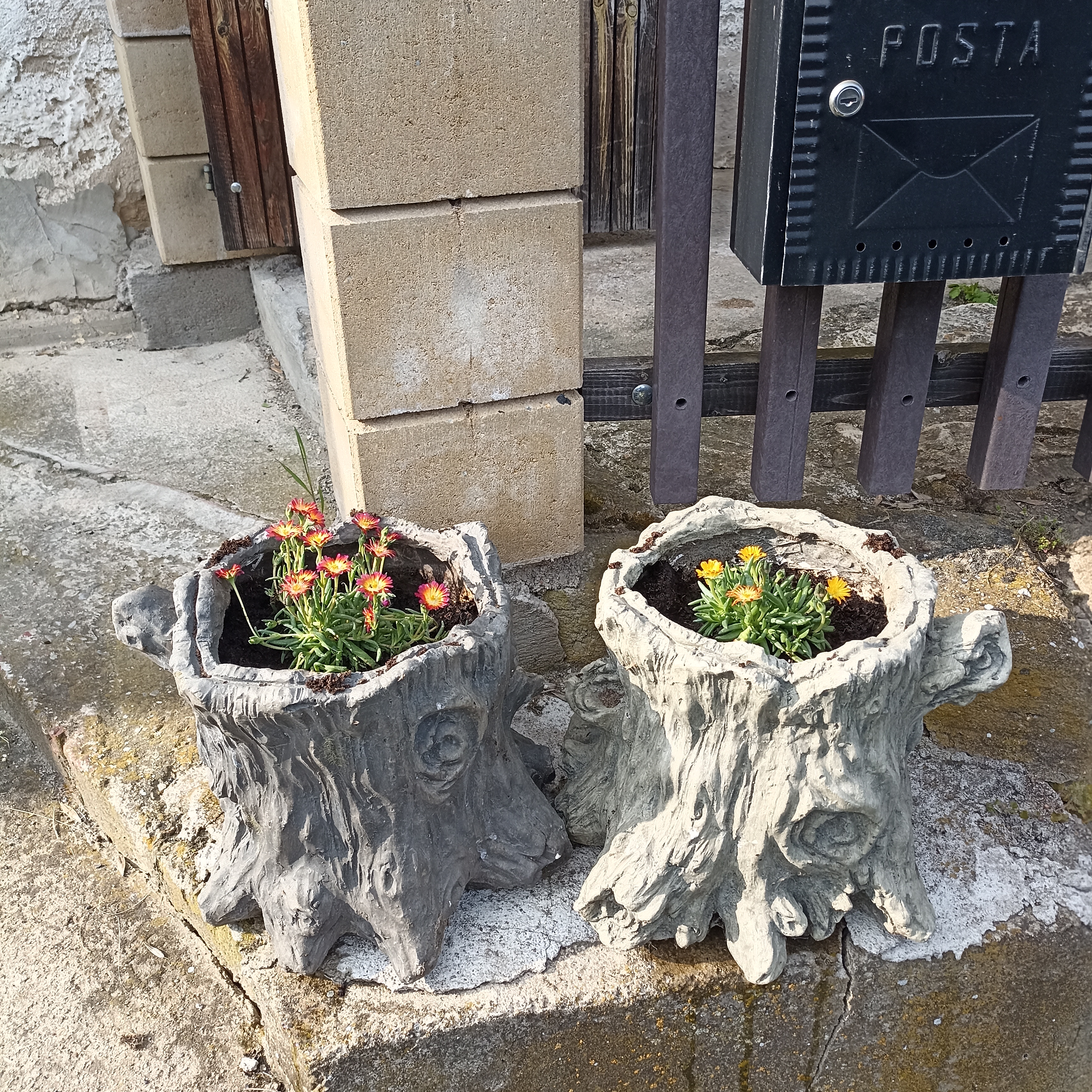 Zahradnictví u Níčů foto 3